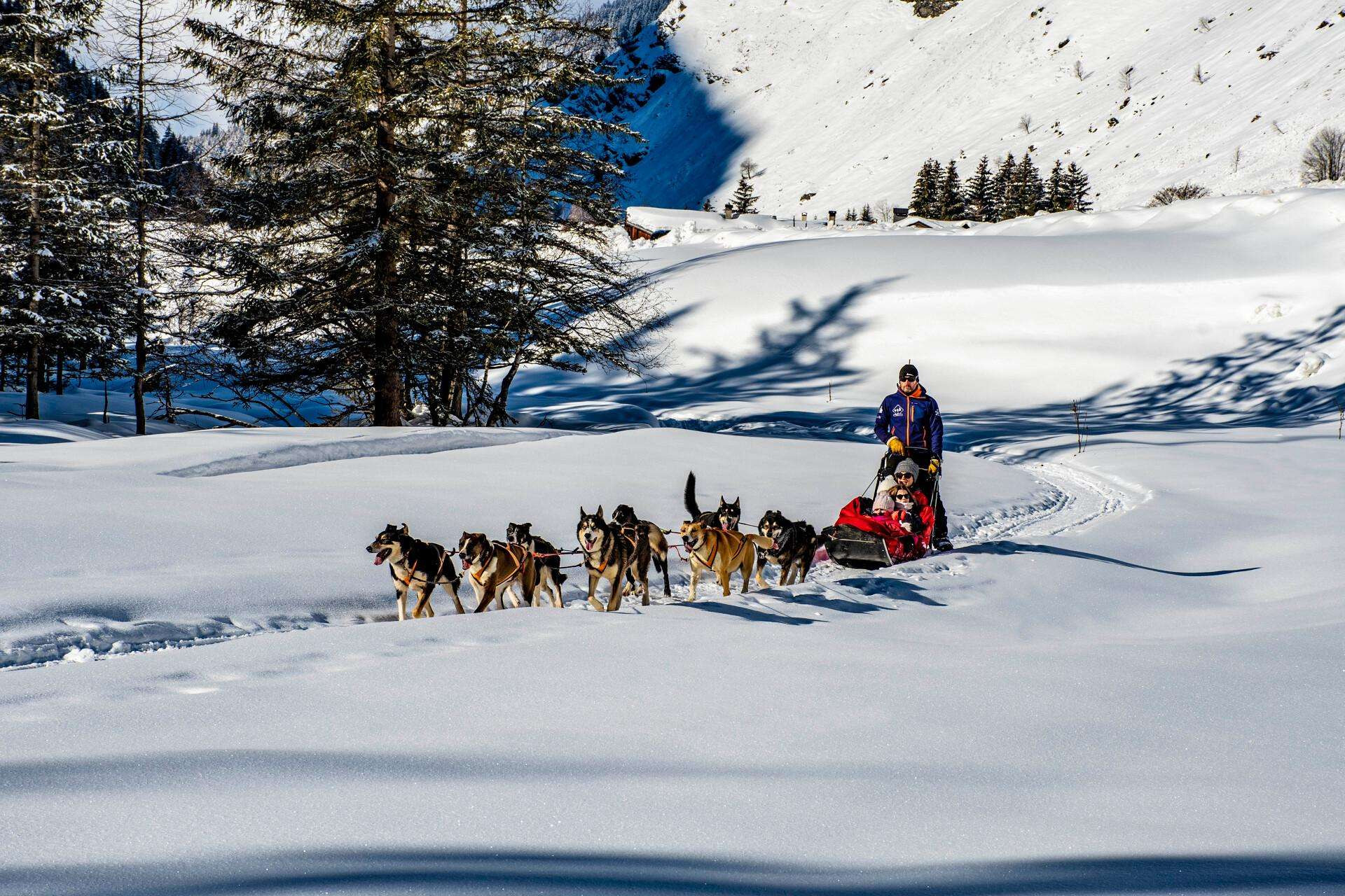 la-plagne-dog-sledding-nomad-photographie-145