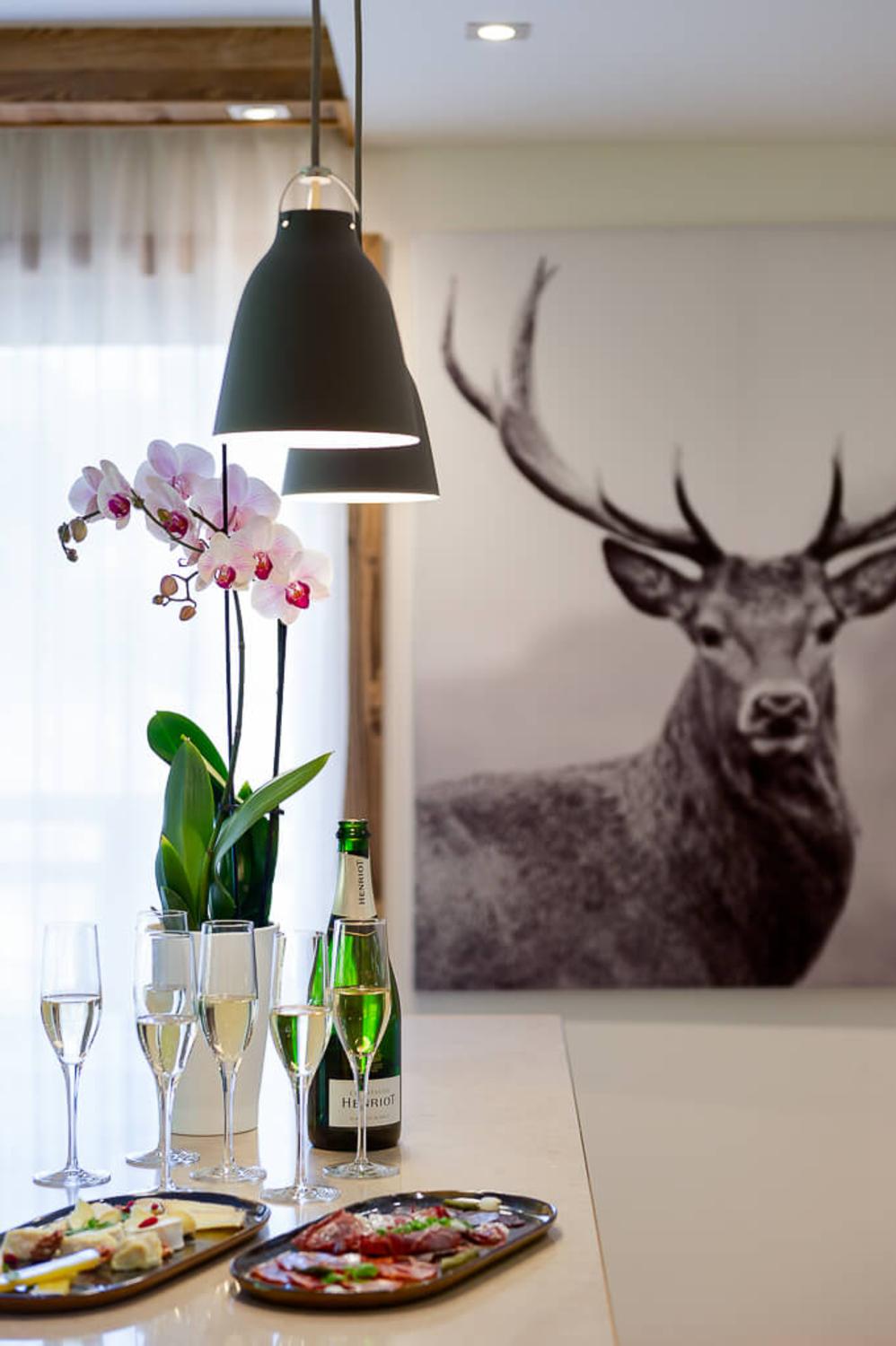 1kangto-provisoires-annapurna-appartementb2039-799451