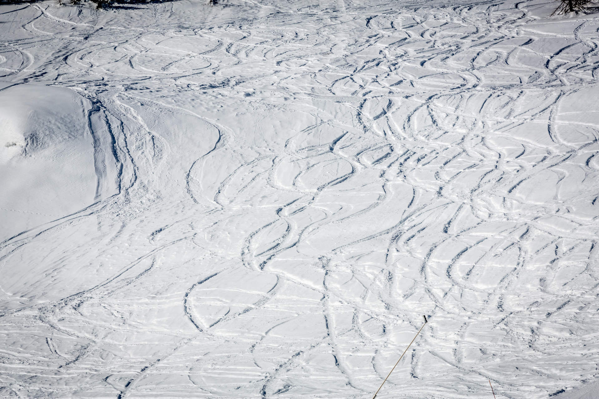 _lv_images__lot_0000240078_14_1457782