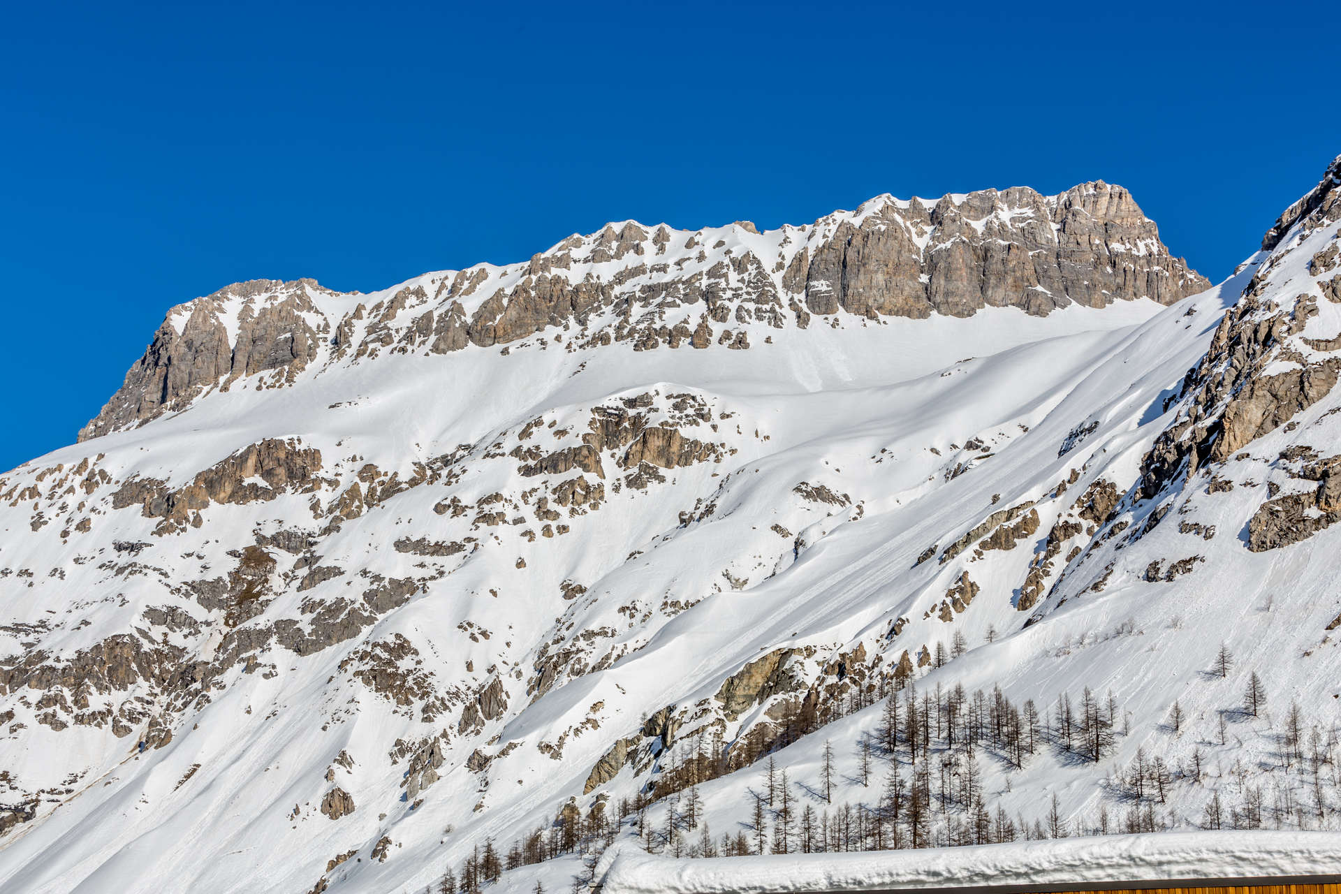 _lv_images__lot_0000370113_15_1455717