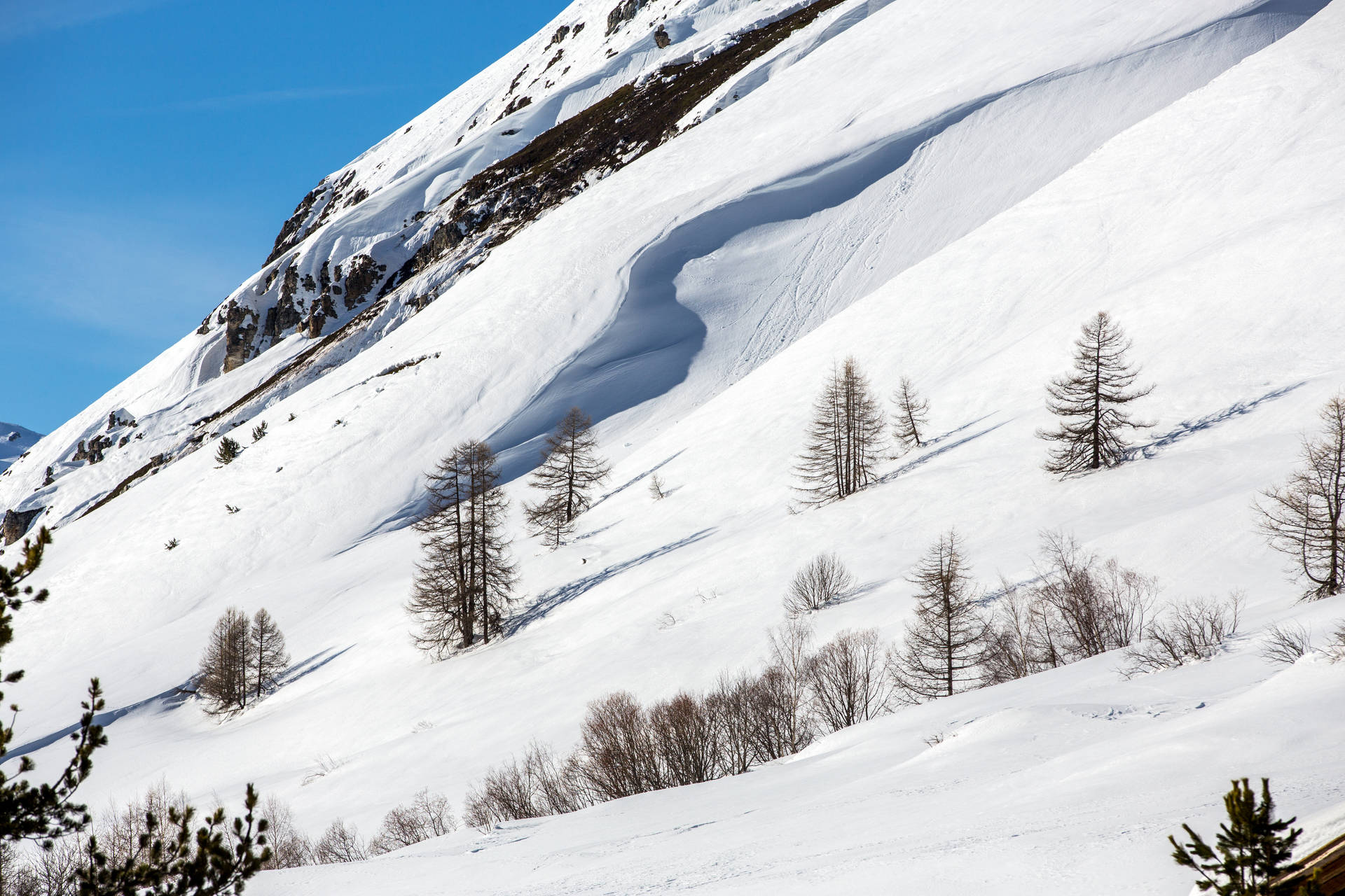 _lv_images__lot_0000370180_13_1457325