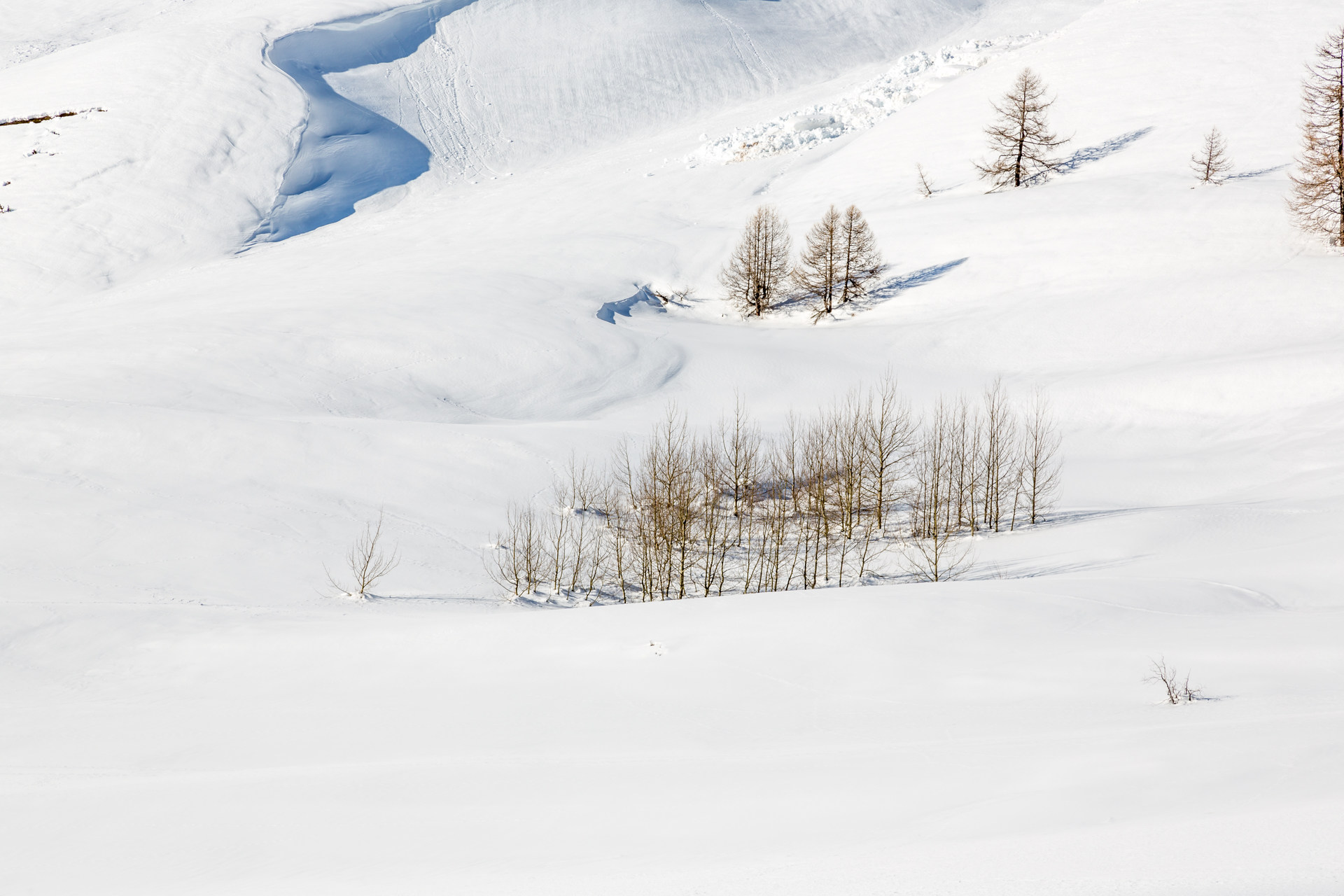 _lv_images__lot_0000720017_14_1456042