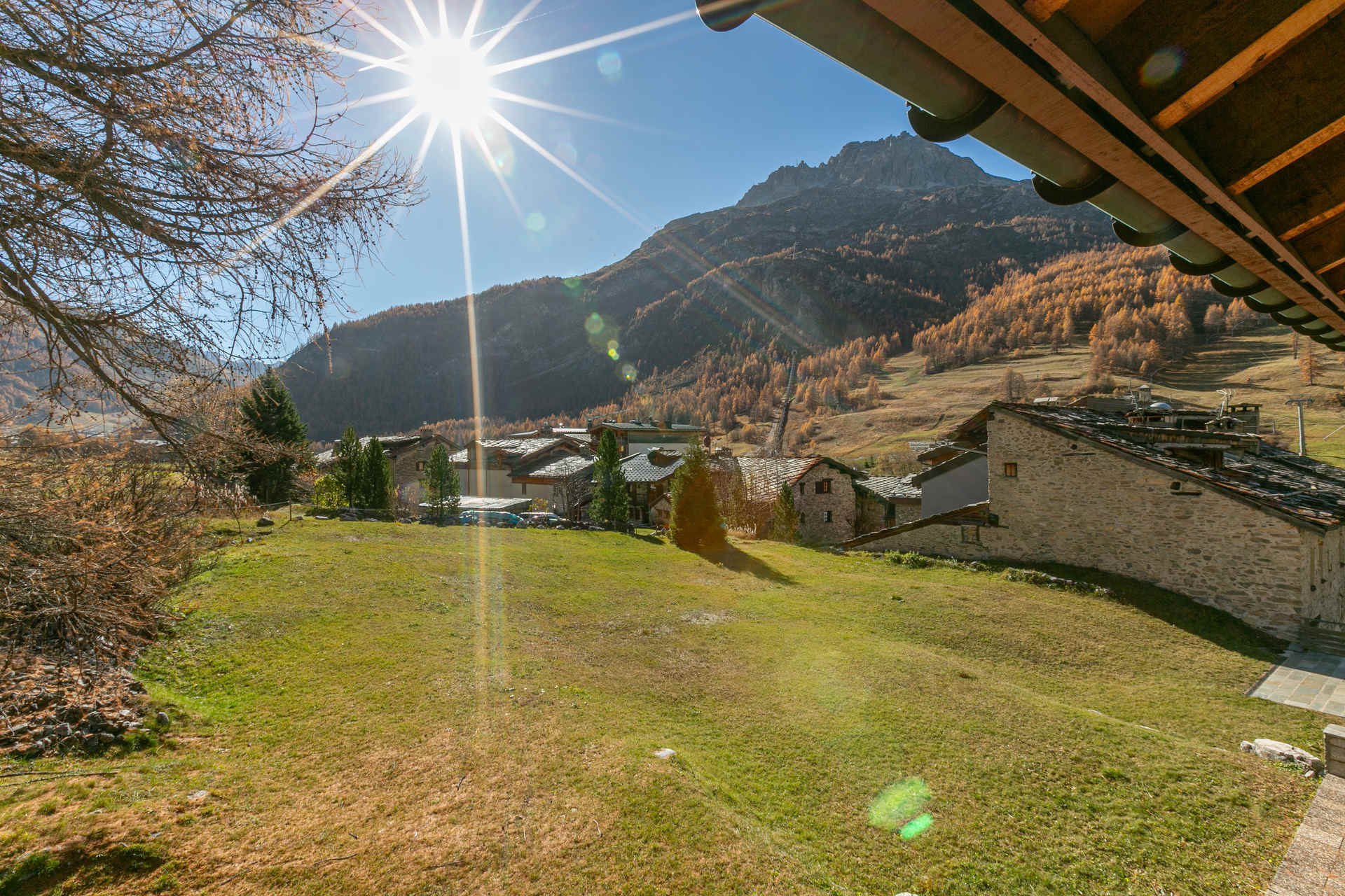 _lv_images__lot_0000980006_11_1457475