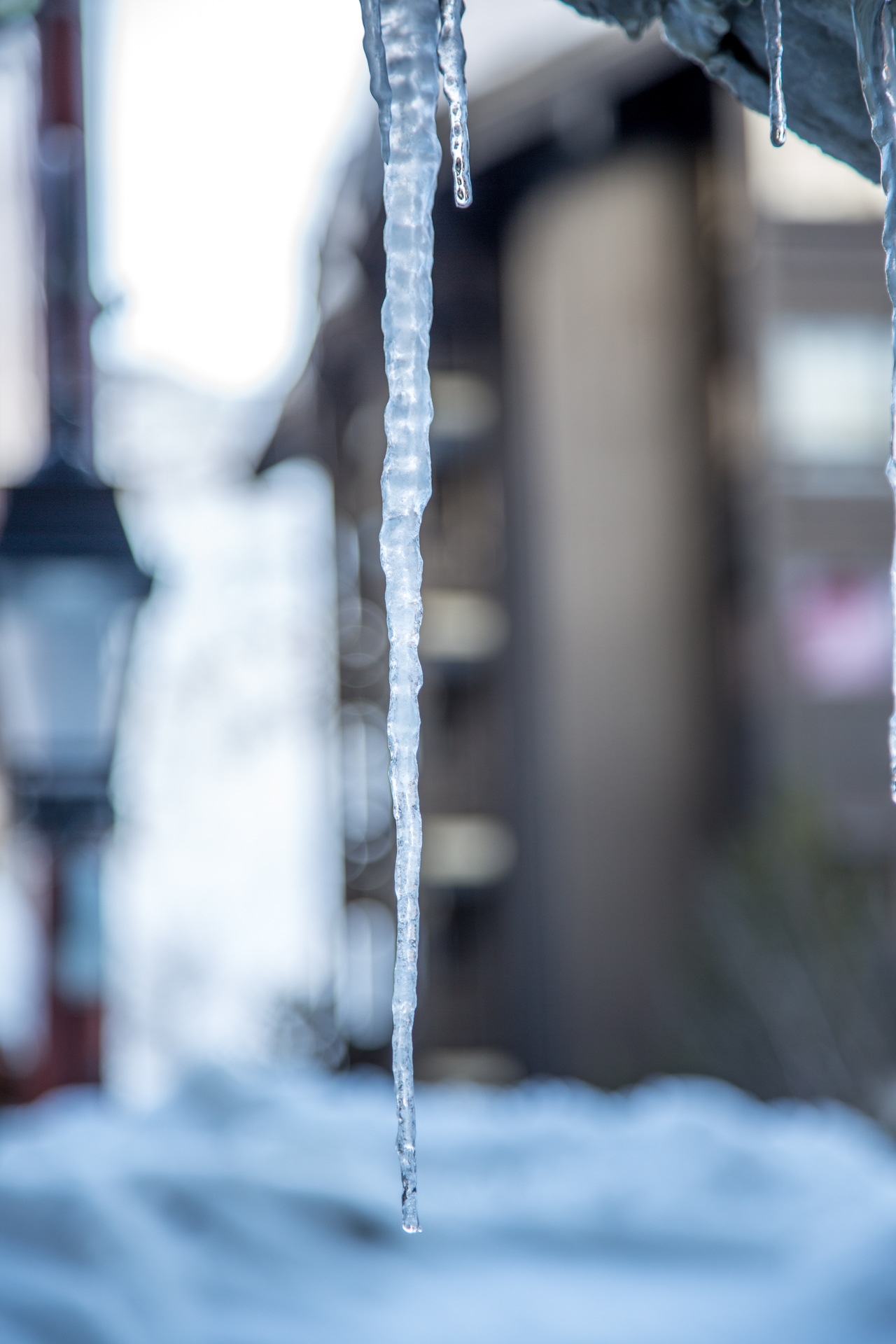 _lv_images__lot_0002080009_11_1457566