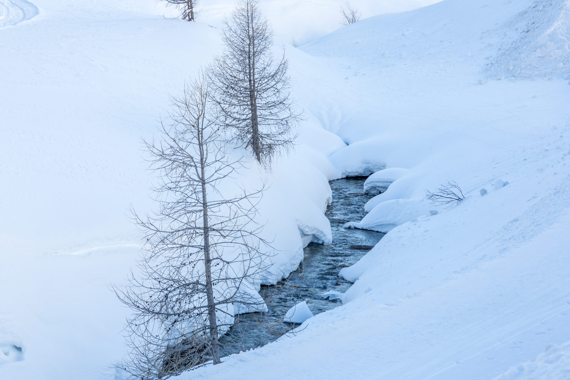 _lv_images__lot_0002340188_12_1457552