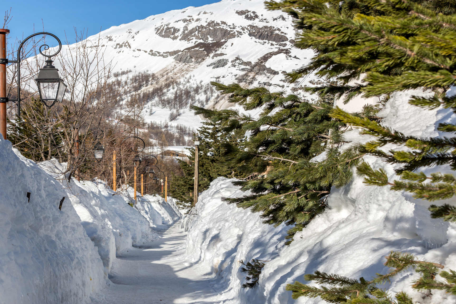 _lv_images__lot_0002340261_14_1457967