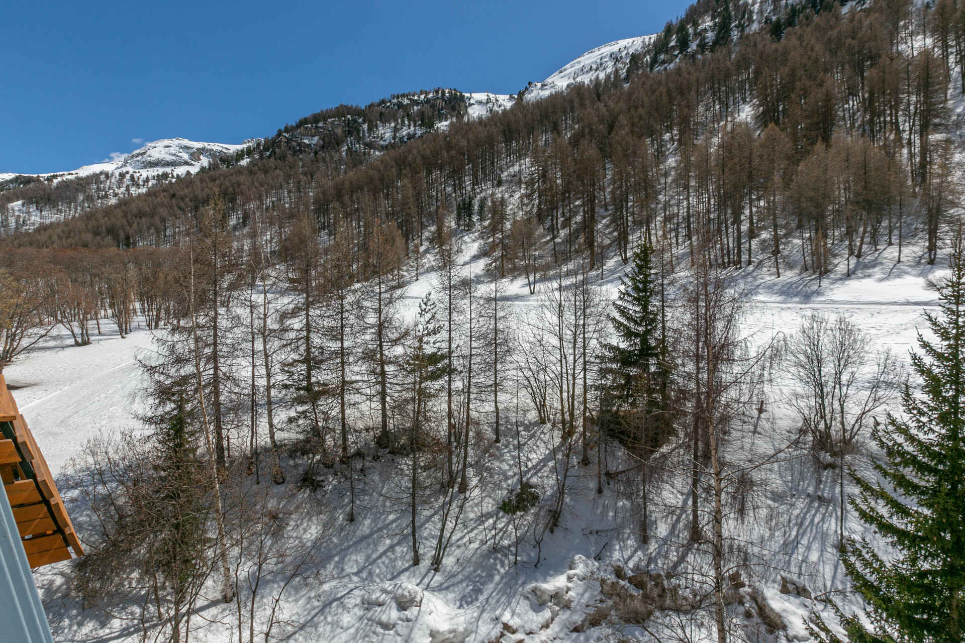 _lv_images__lot_0002340264_14_1457402