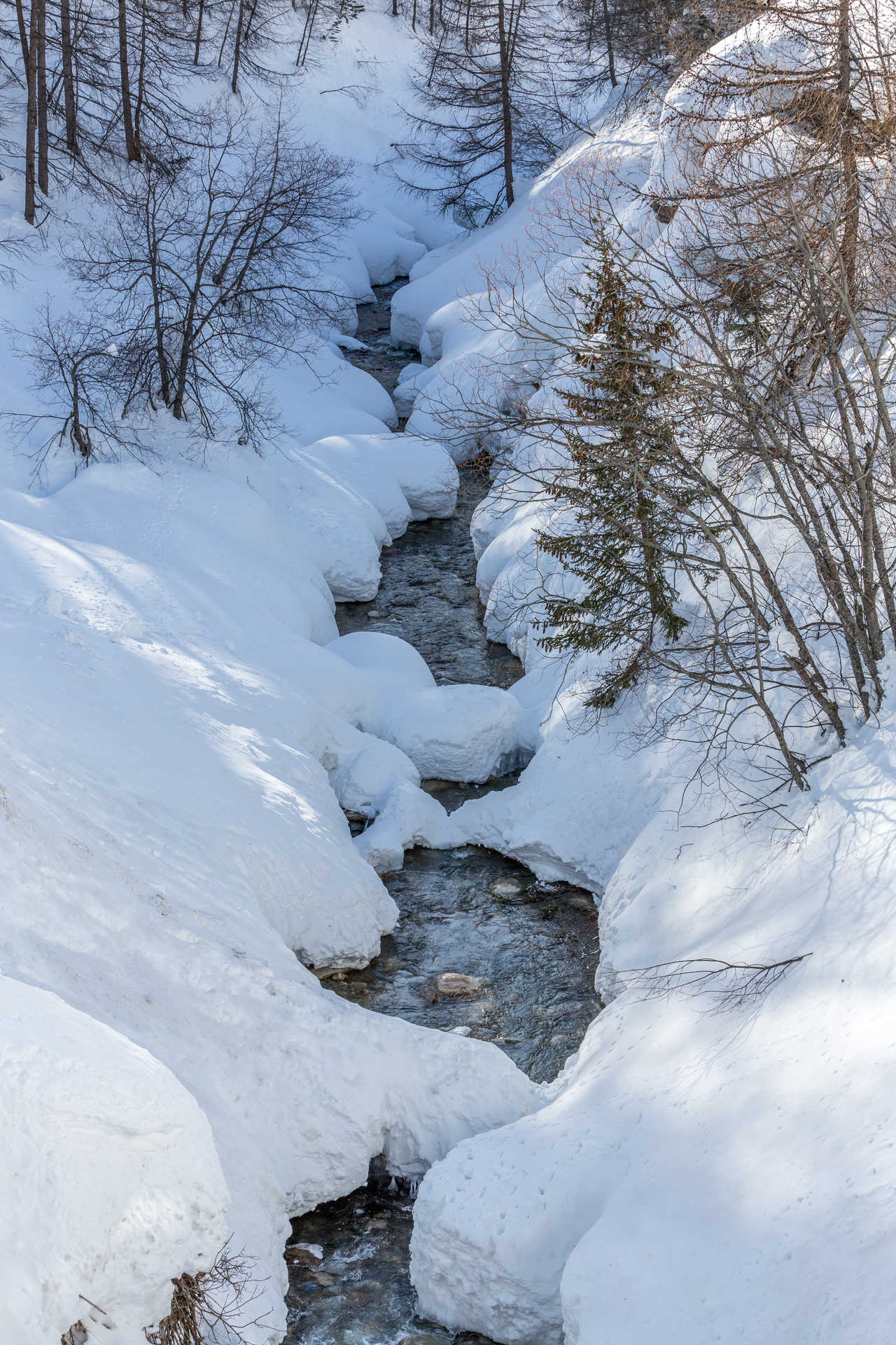 _lv_images__lot_0002340299_14_1456222