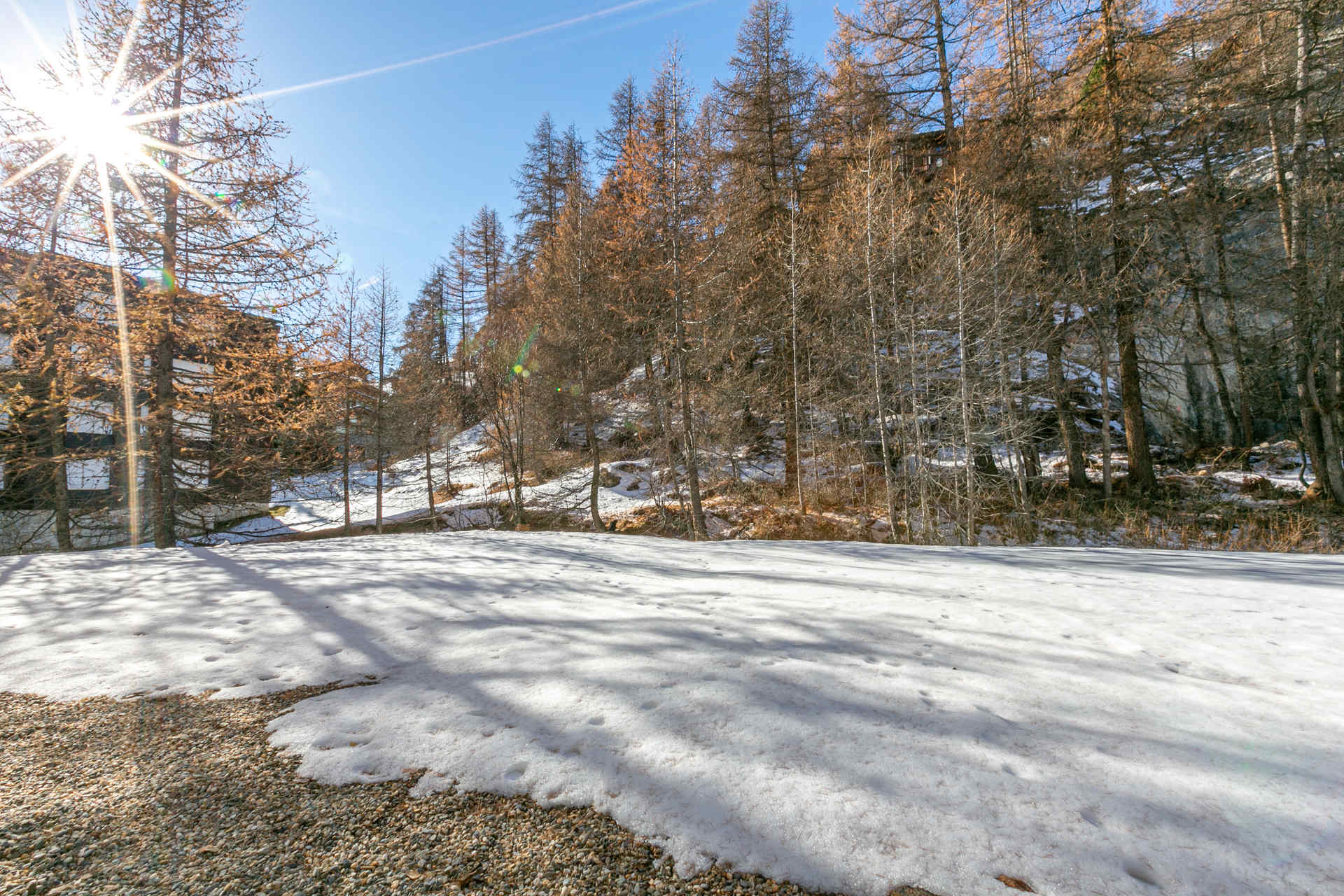 _lv_images__lot_0002340317_12_1455923