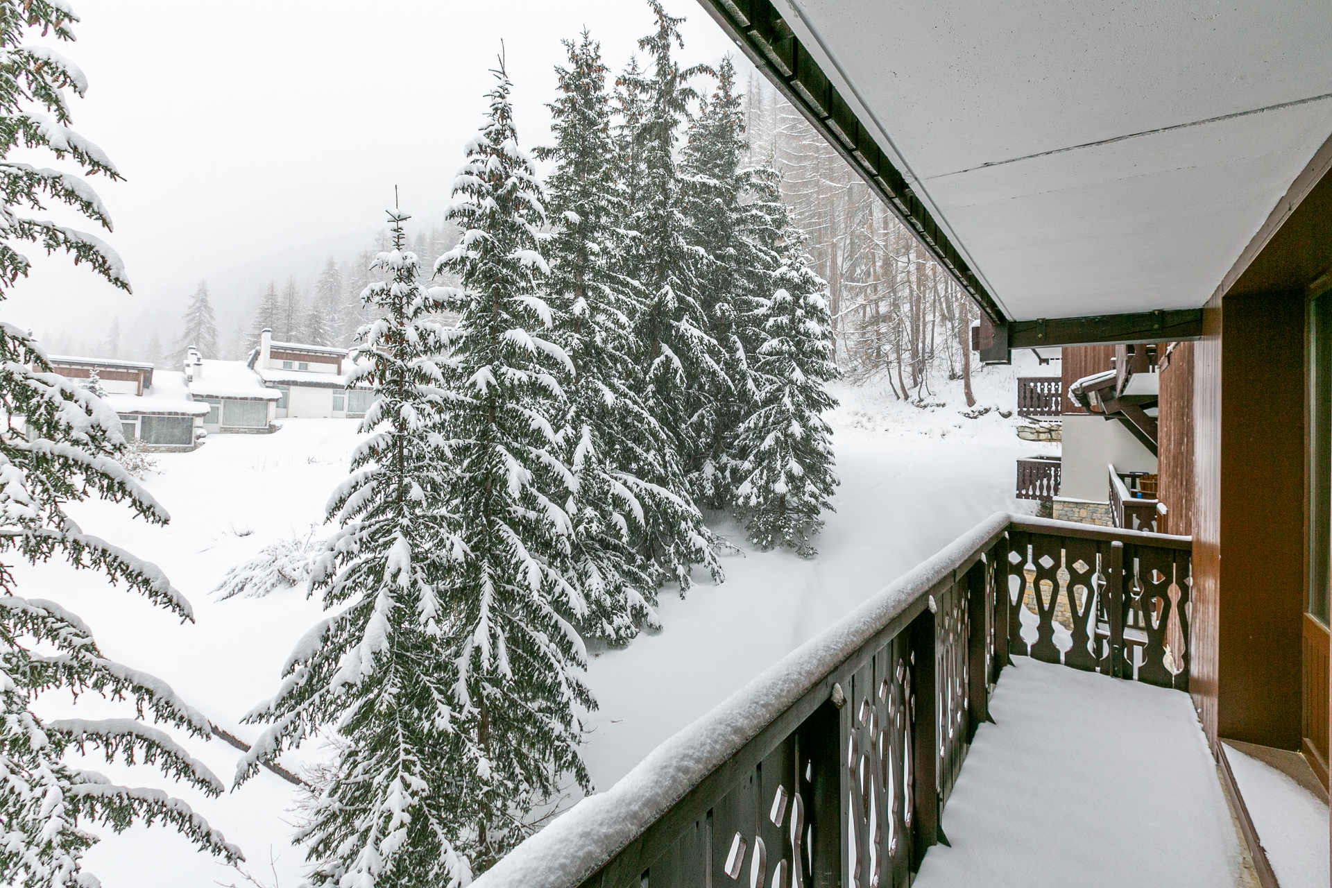 _lv_images__lot_0002340321_10_1456142