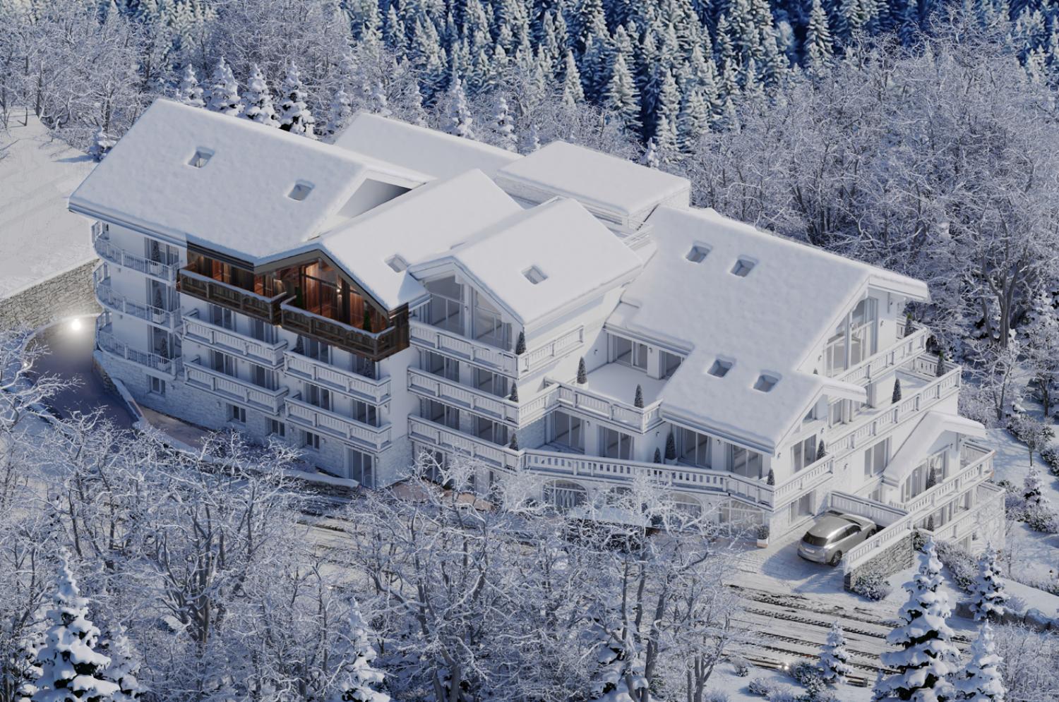 alpine-dream-flower-of-the-alps-meribel-22-1461987