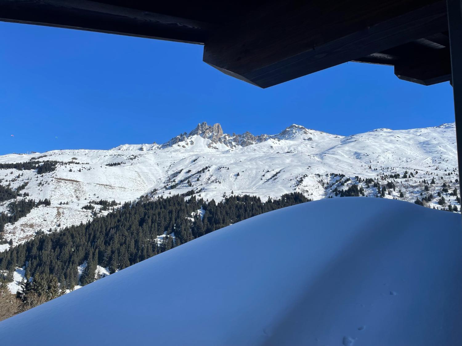 apartment-les-chalets-a31-les-chalets-de-mottaret-meribel-4-1461790