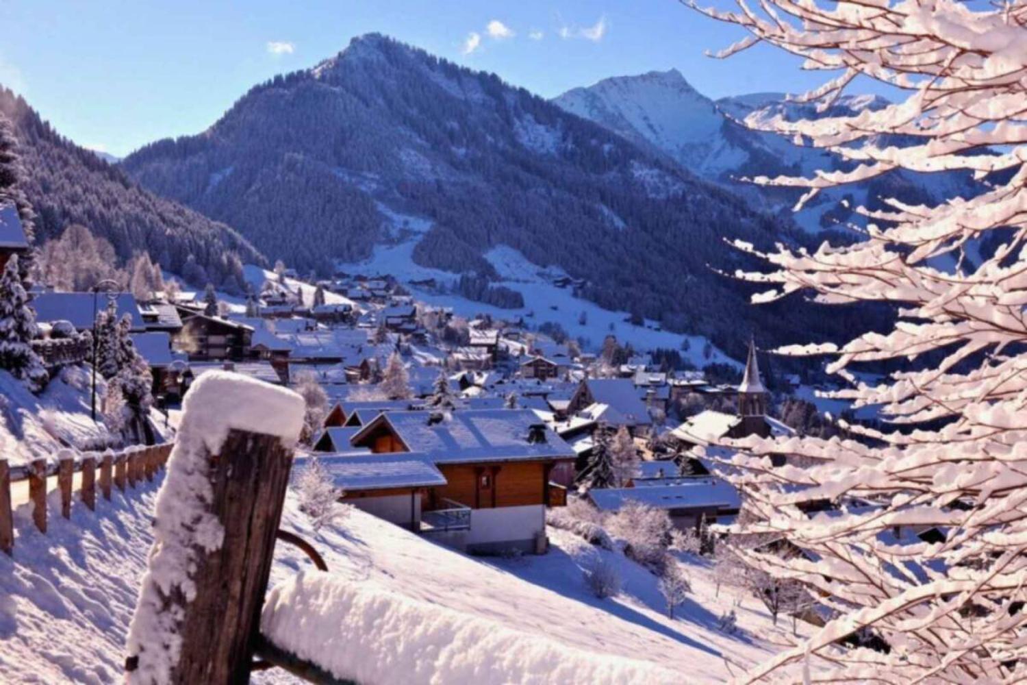 catered-chalet-alpaka-chatel-aanzicht-16-1462446