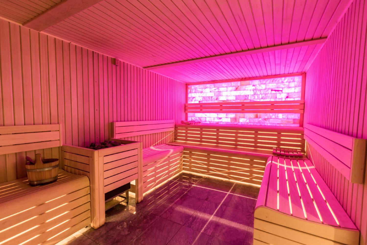 chalet-altitude-arc-2000-sauna-17-263902