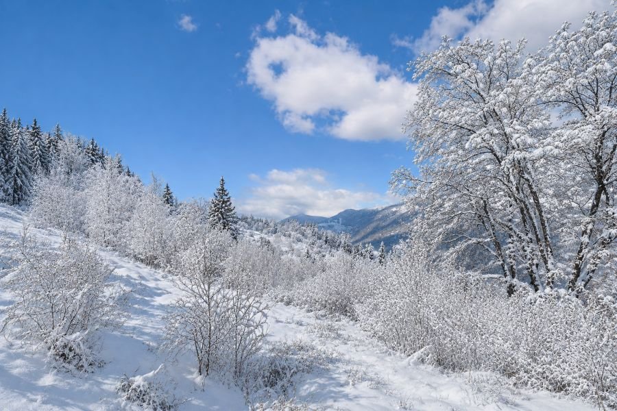 chalet-caroline-14-1469258