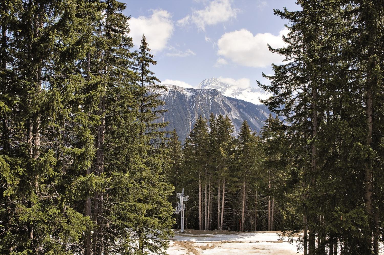 chasseforet-courchevel-1850-1-1463671