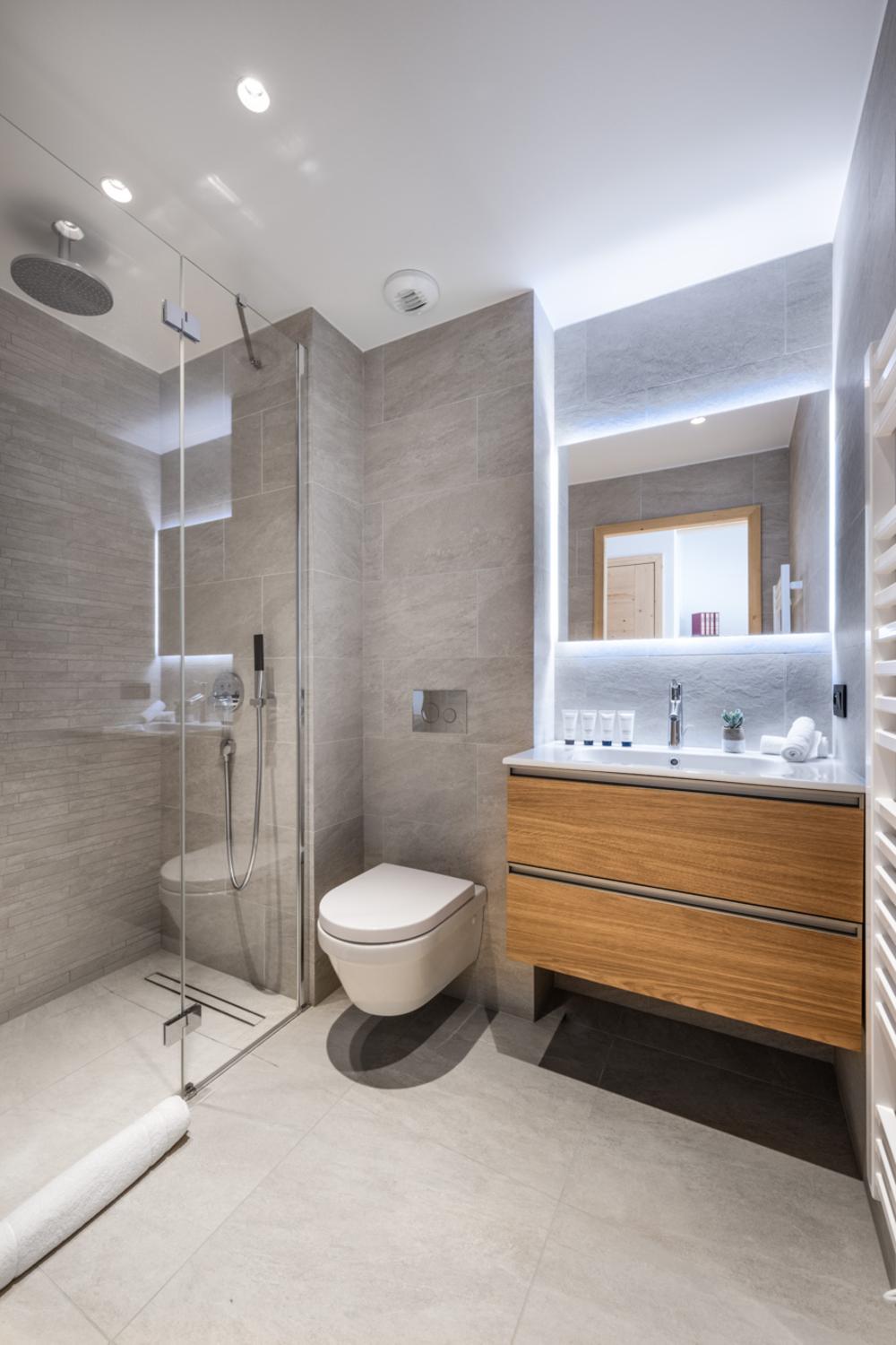 falcon-meribel-philippe-gal-a20-236-753109