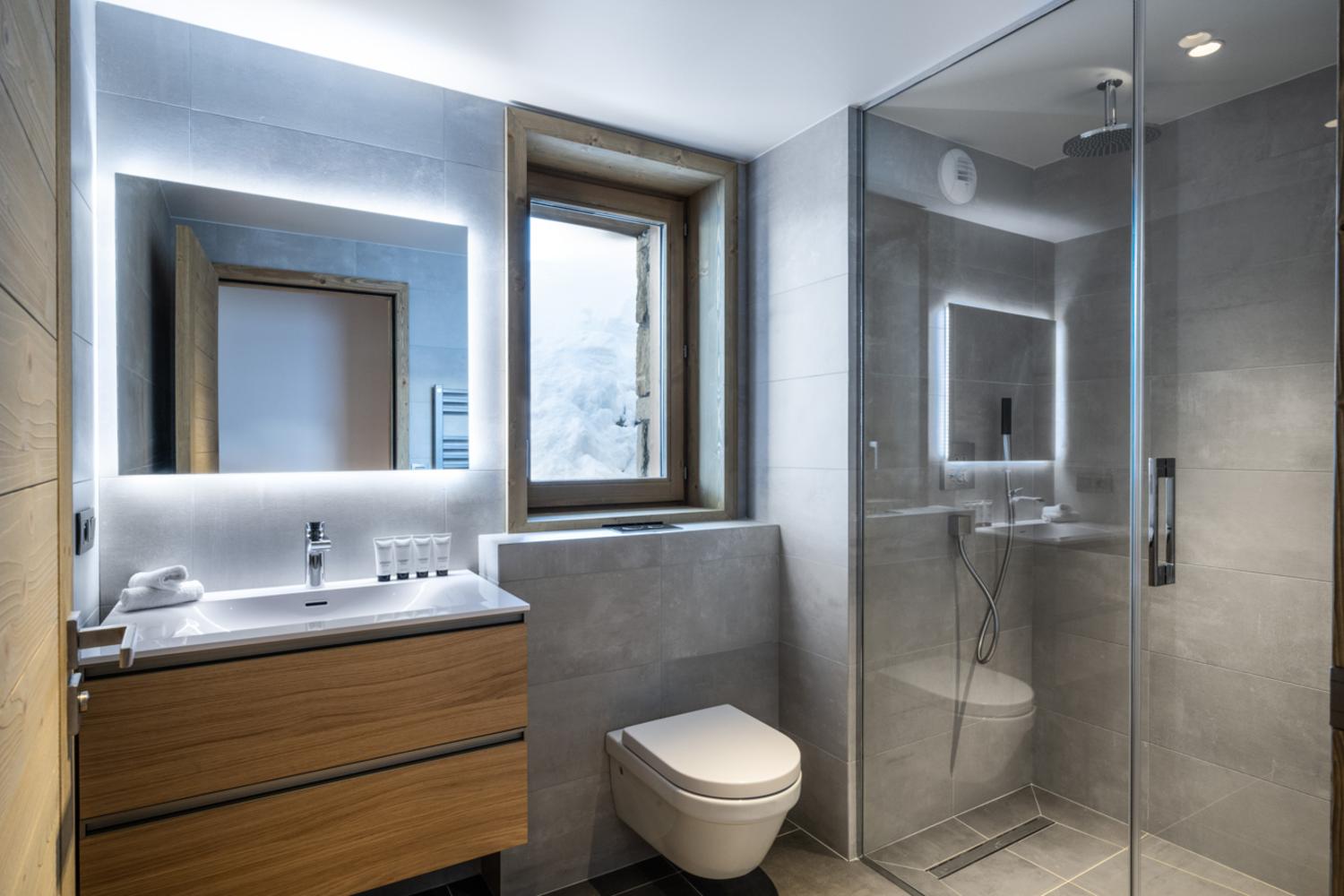 falcon-meribel-philippe-gal-c11-012-753238