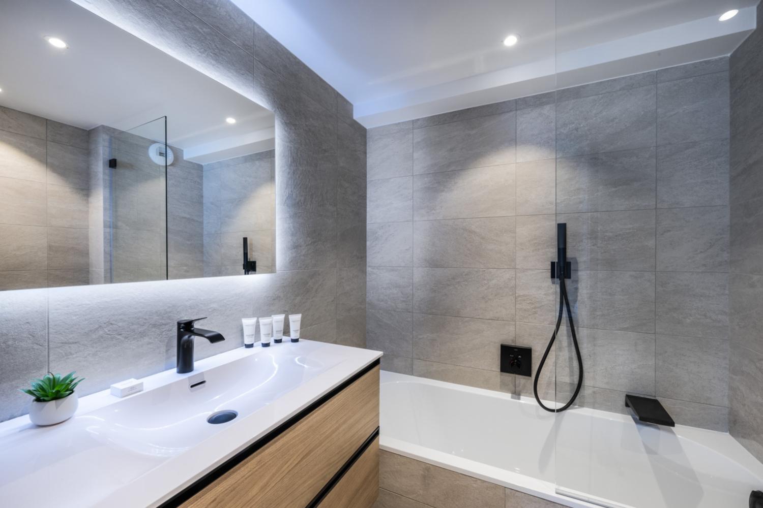 falcon-meribel-philippe-gal-c21-001-753259