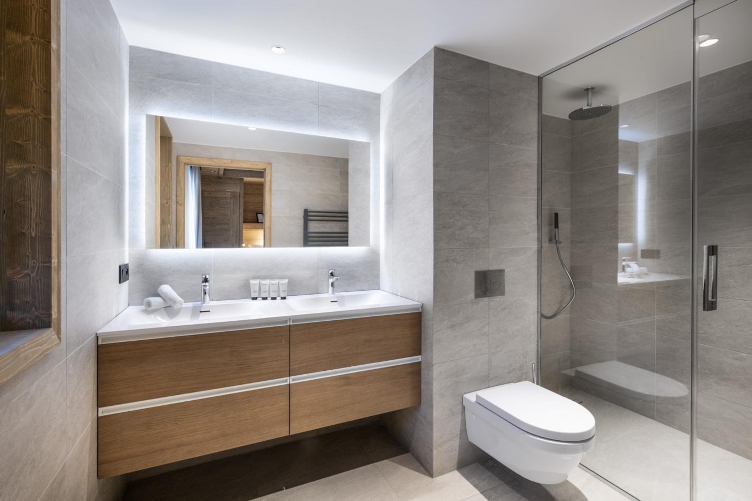 falcon-meribel-philippe-gal-c22-053-753269