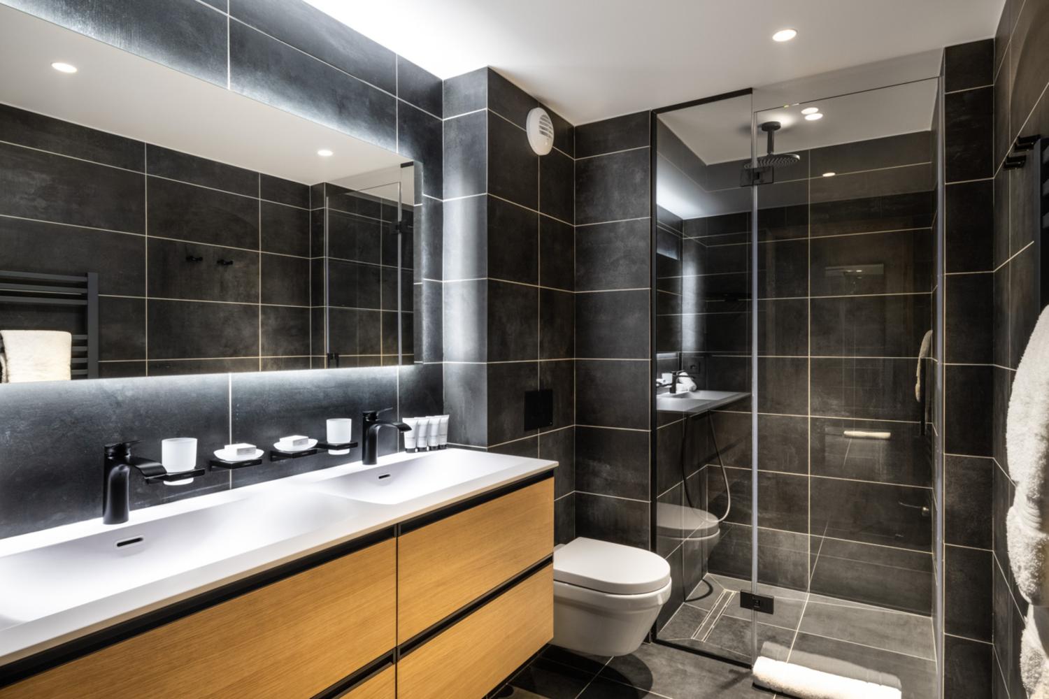 falcon-meribel-philippe-gal-e21-012-753372