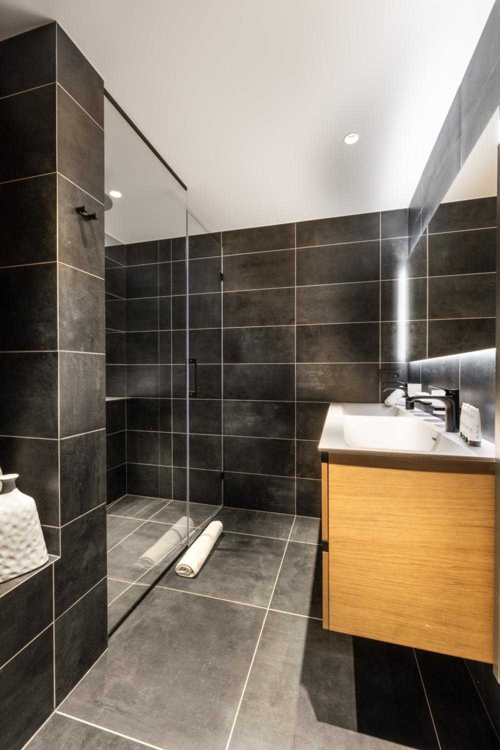 falcon-meribel-philippe-gal-e21-014-753374