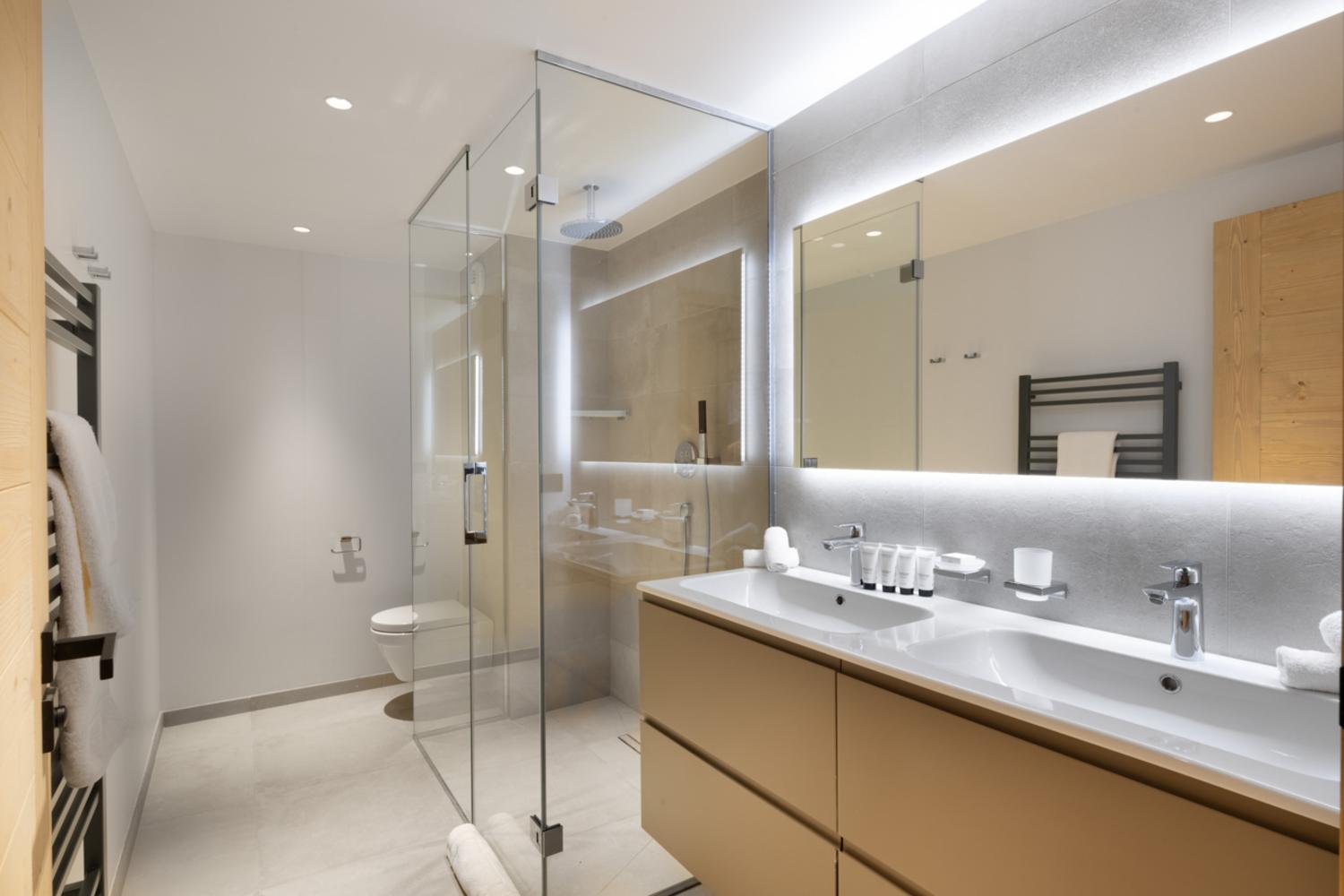 falcon-meribel-philippe-gal-g12-023-753452