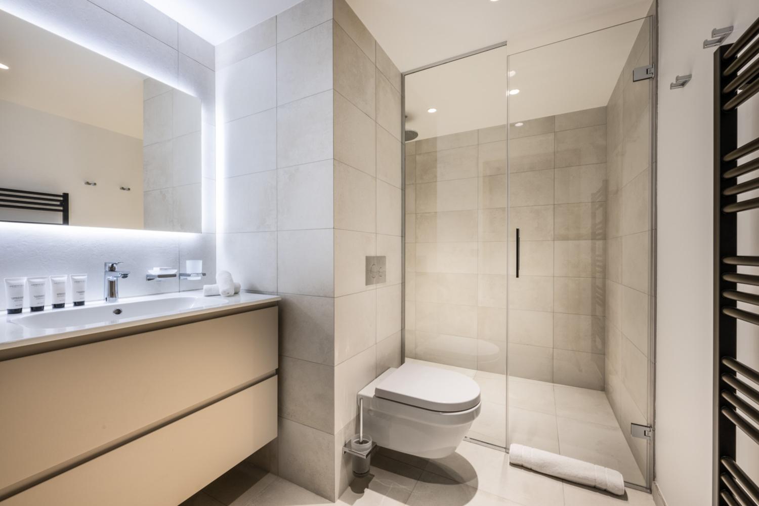 falcon-meribel-philippe-gal-g22-020-753465