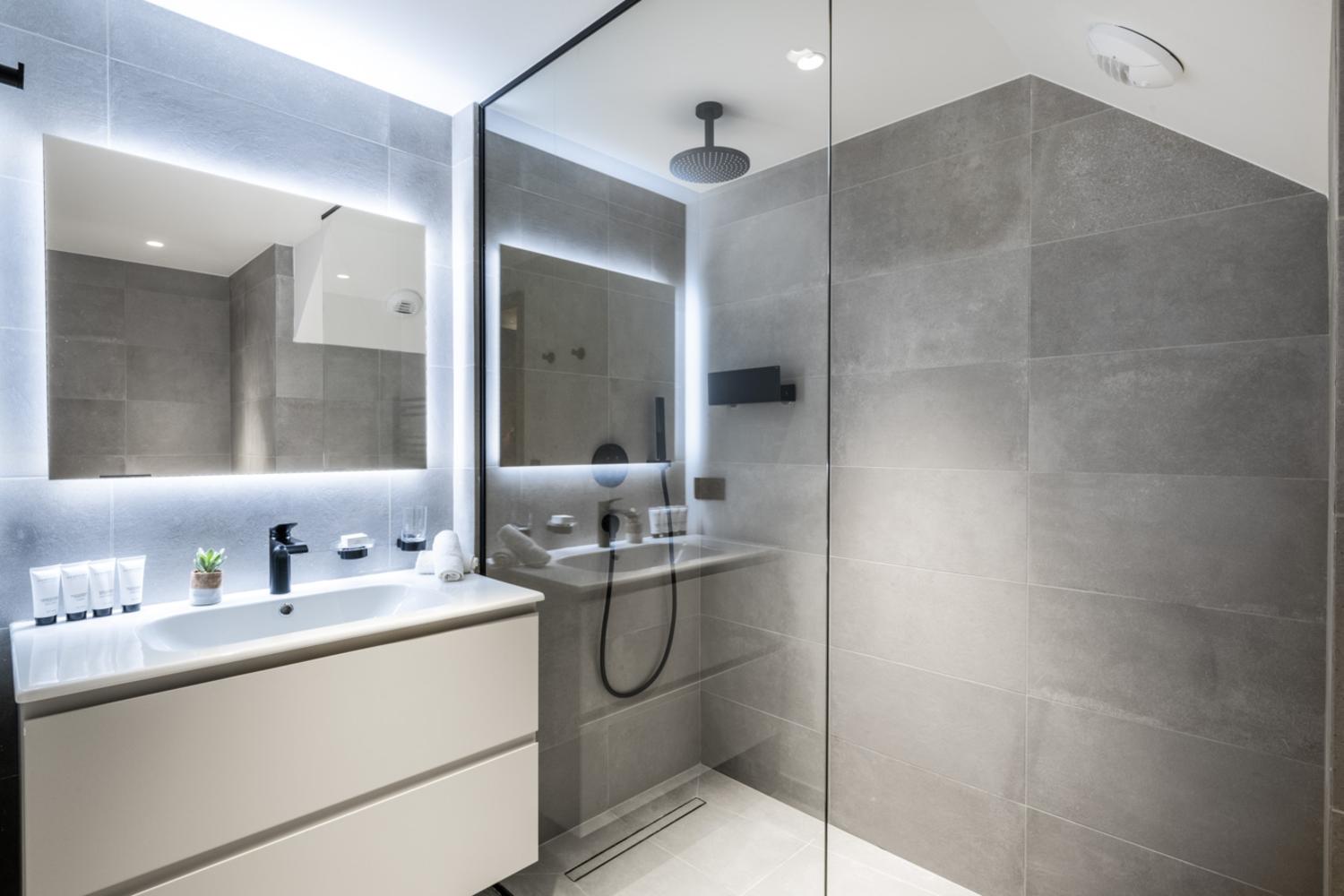 falcon-meribel-philippe-gal-h11-022-753487