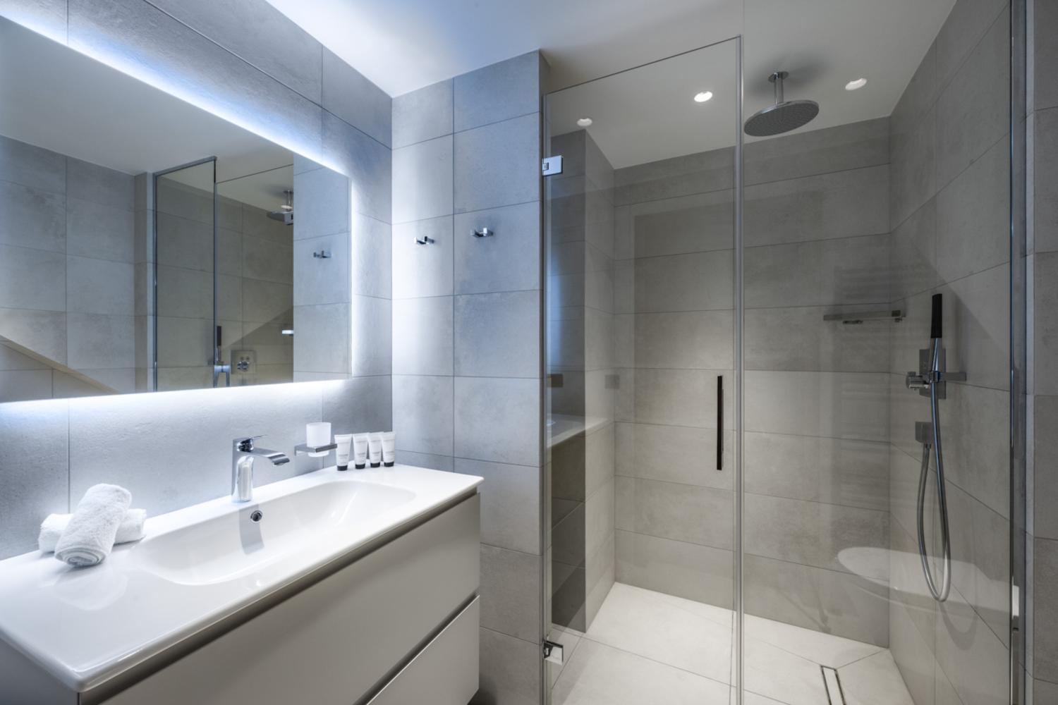 falcon-meribel-philippe-gal-h21-056-753516