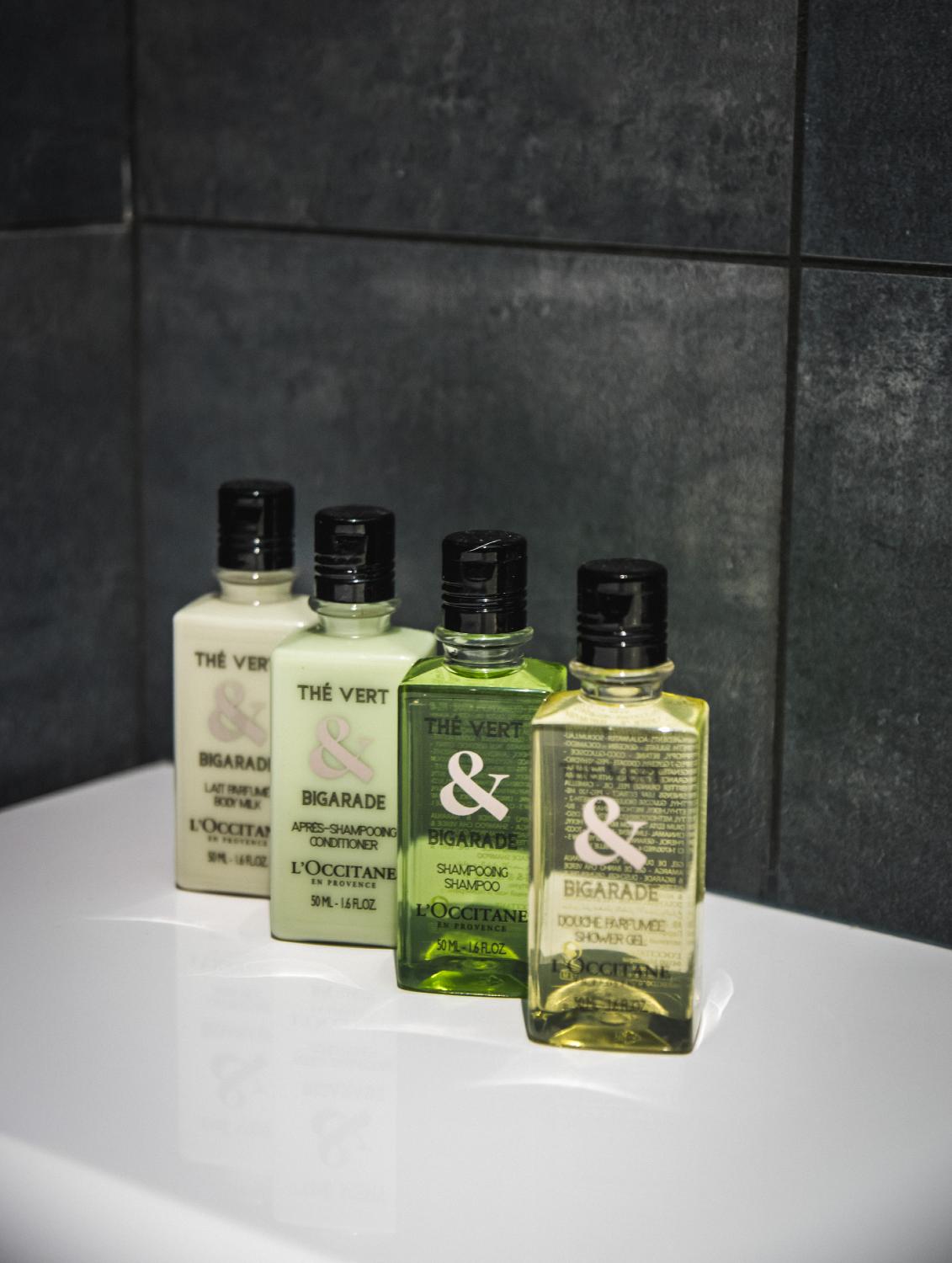 gyala-manali-lodge-240120-aline-hudry-2-761099