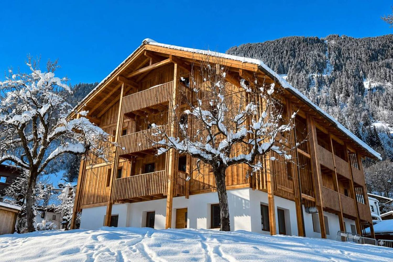 01-scalewidthwzeymdbd-catered-chalet-demlhof-finkenberg-aanzicht-sunny-2-1466891