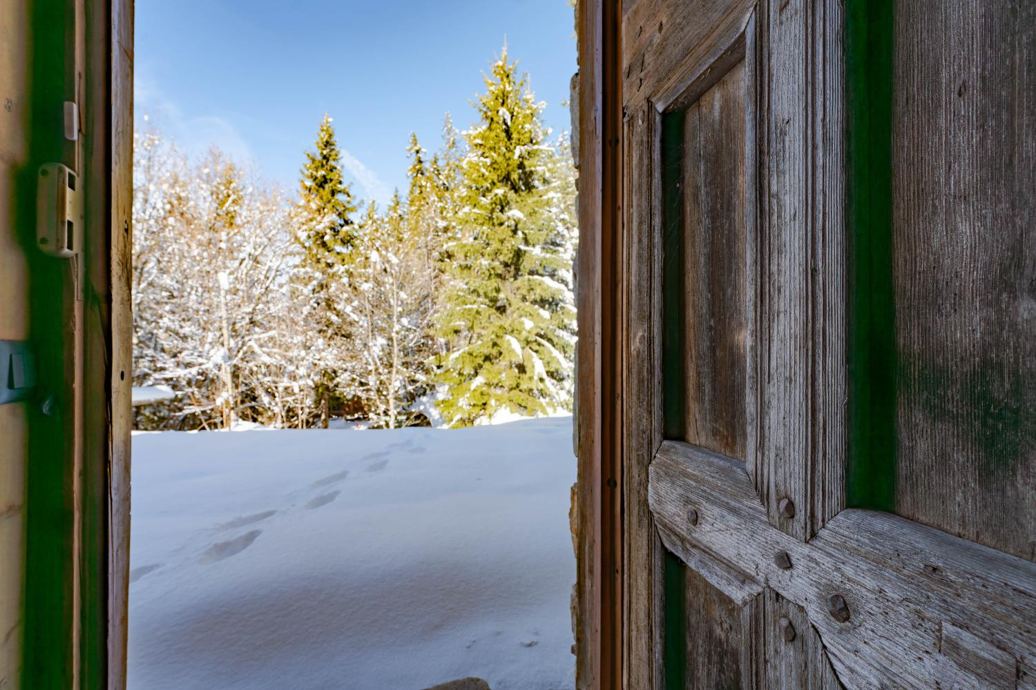 0fbe696a-dd21-4dcf-a26f-419264c9aaf7-1450798