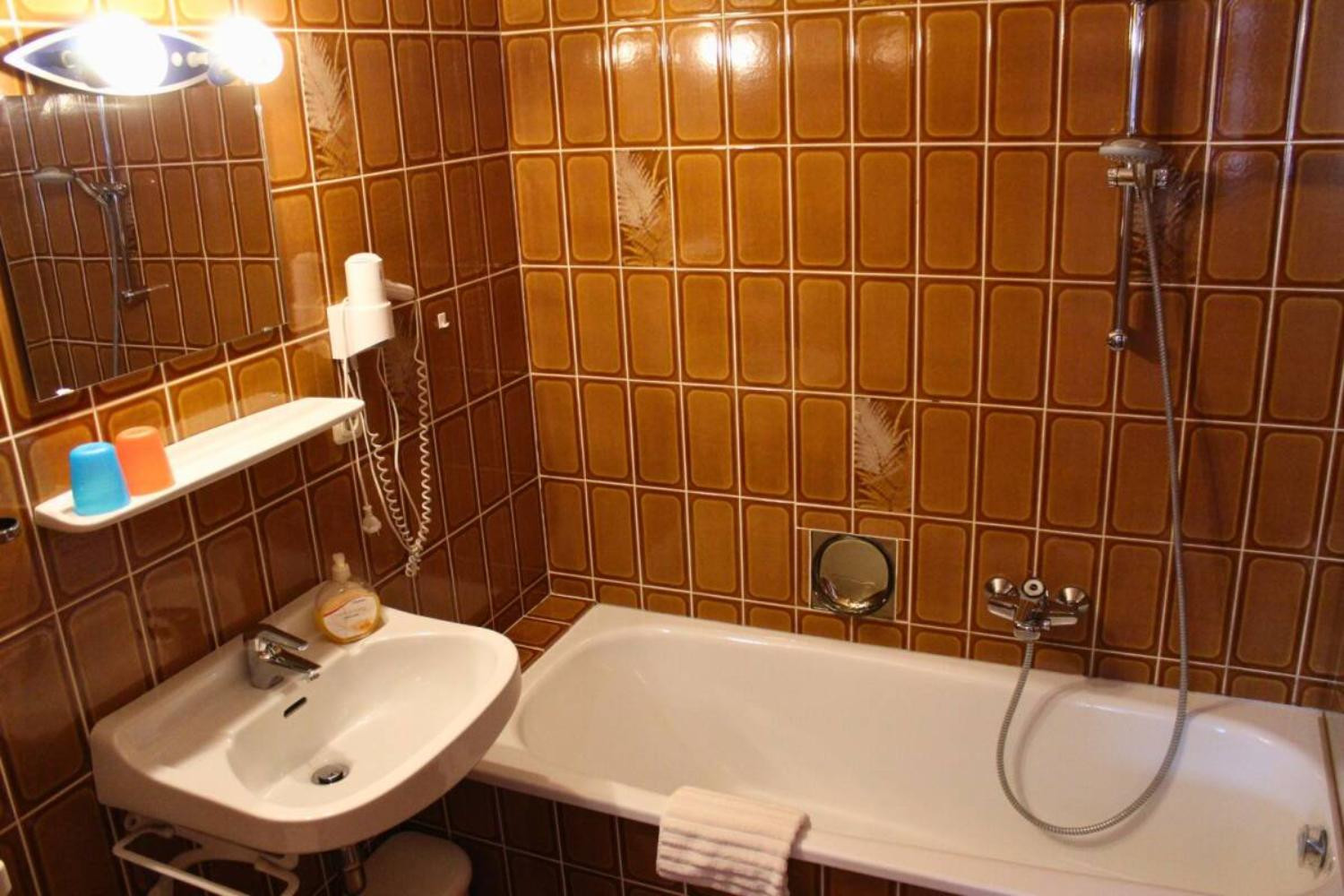 12-catered-chalet-silian-hinterglemm-oude-badkamer-scalewidthwzeymdbd-1467210