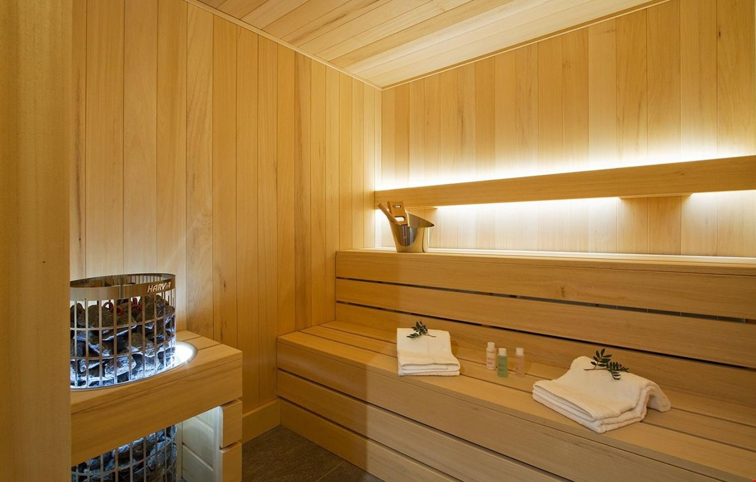 13-3801-location-ski-les-deux-alpes-chalet-l-ours-brun-13-907504