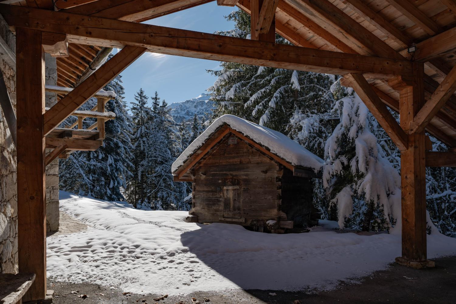 386636b1-c173-42b1-bf98-b90760332932-1450788