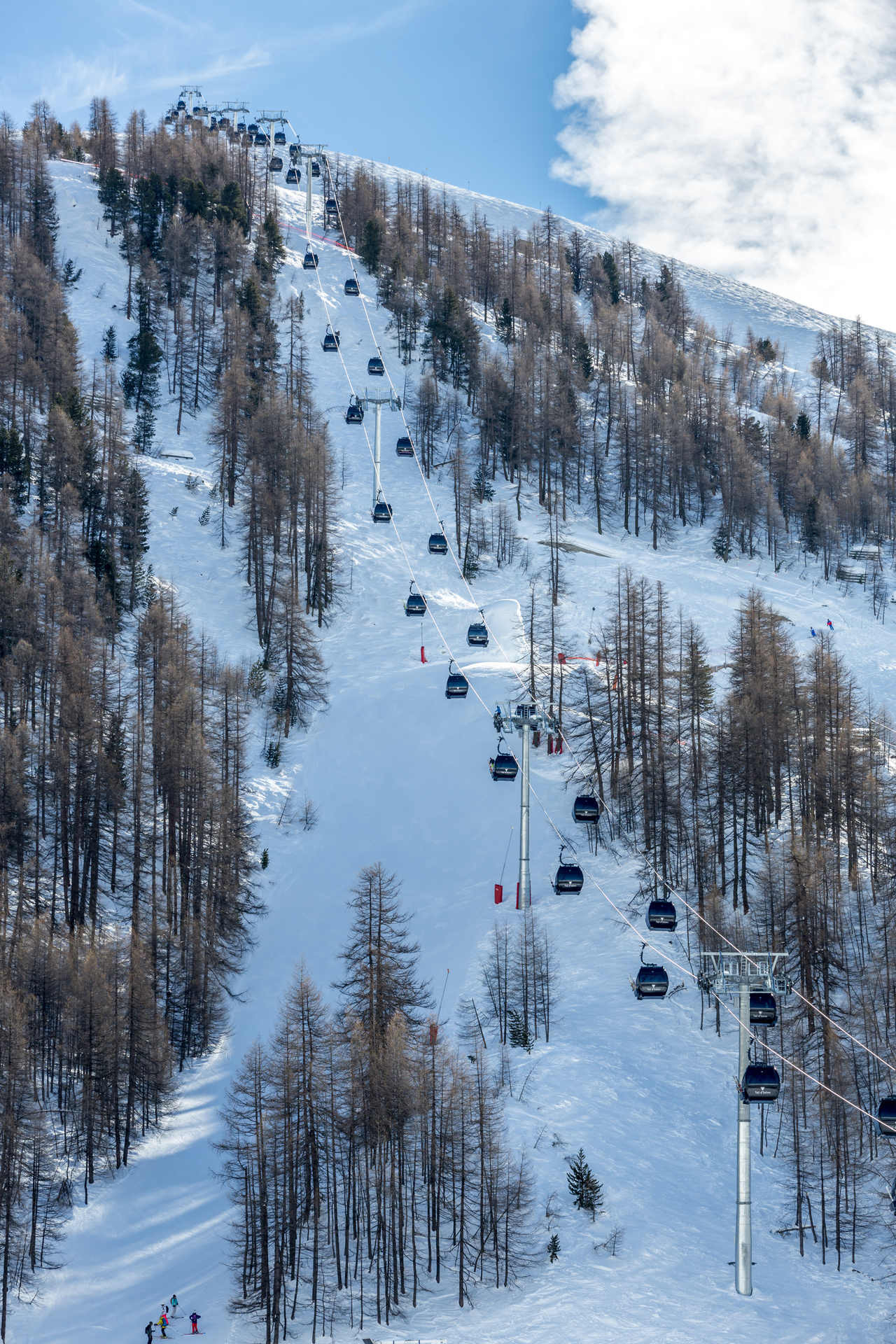 _lv_images__lot_0000370061_14_1456267