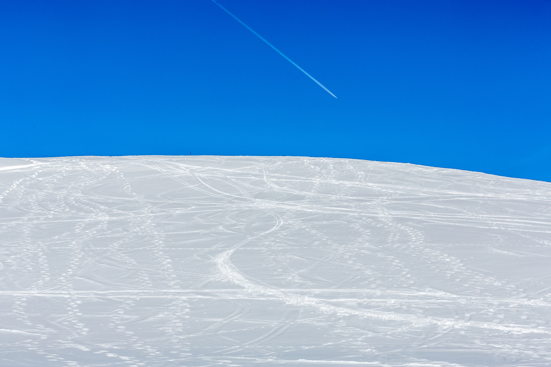 _lv_images__lot_0000370113_13_1455715