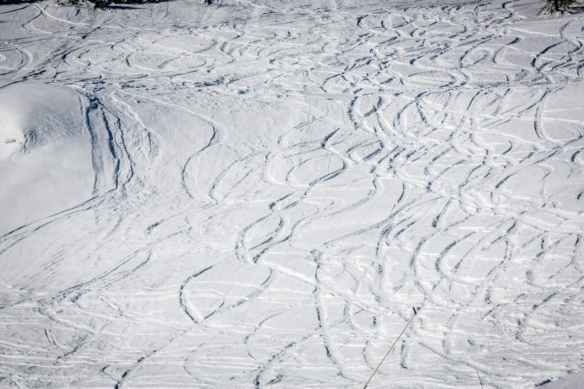 _lv_images__lot_0000370153_13_1455625