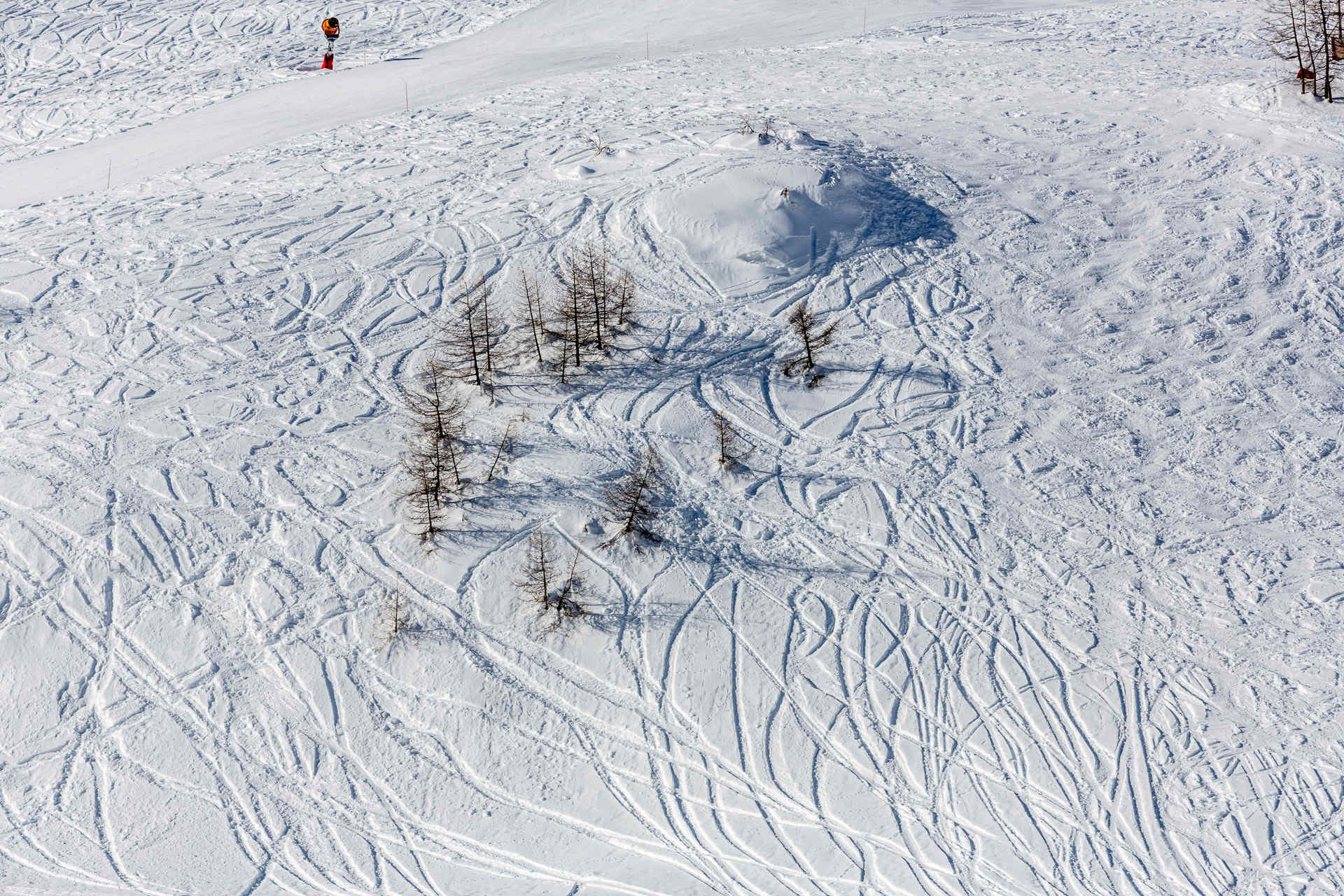 _lv_images__lot_0000950010_14_1458450