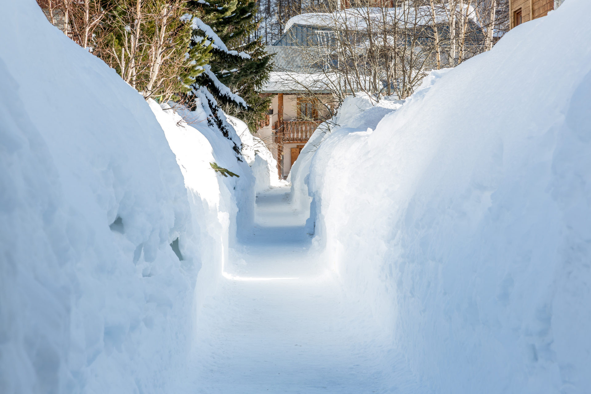 _lv_images__lot_0001120109_15_1457858