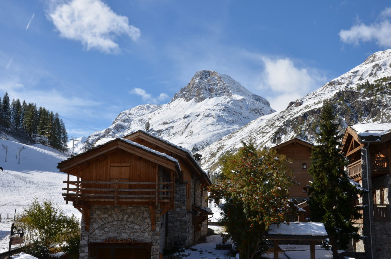 _lv_images__lot_0002060011_11_1458253