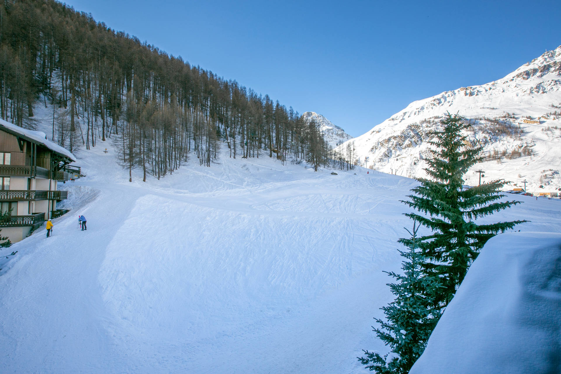 _lv_images__lot_0002340142_13_1454610