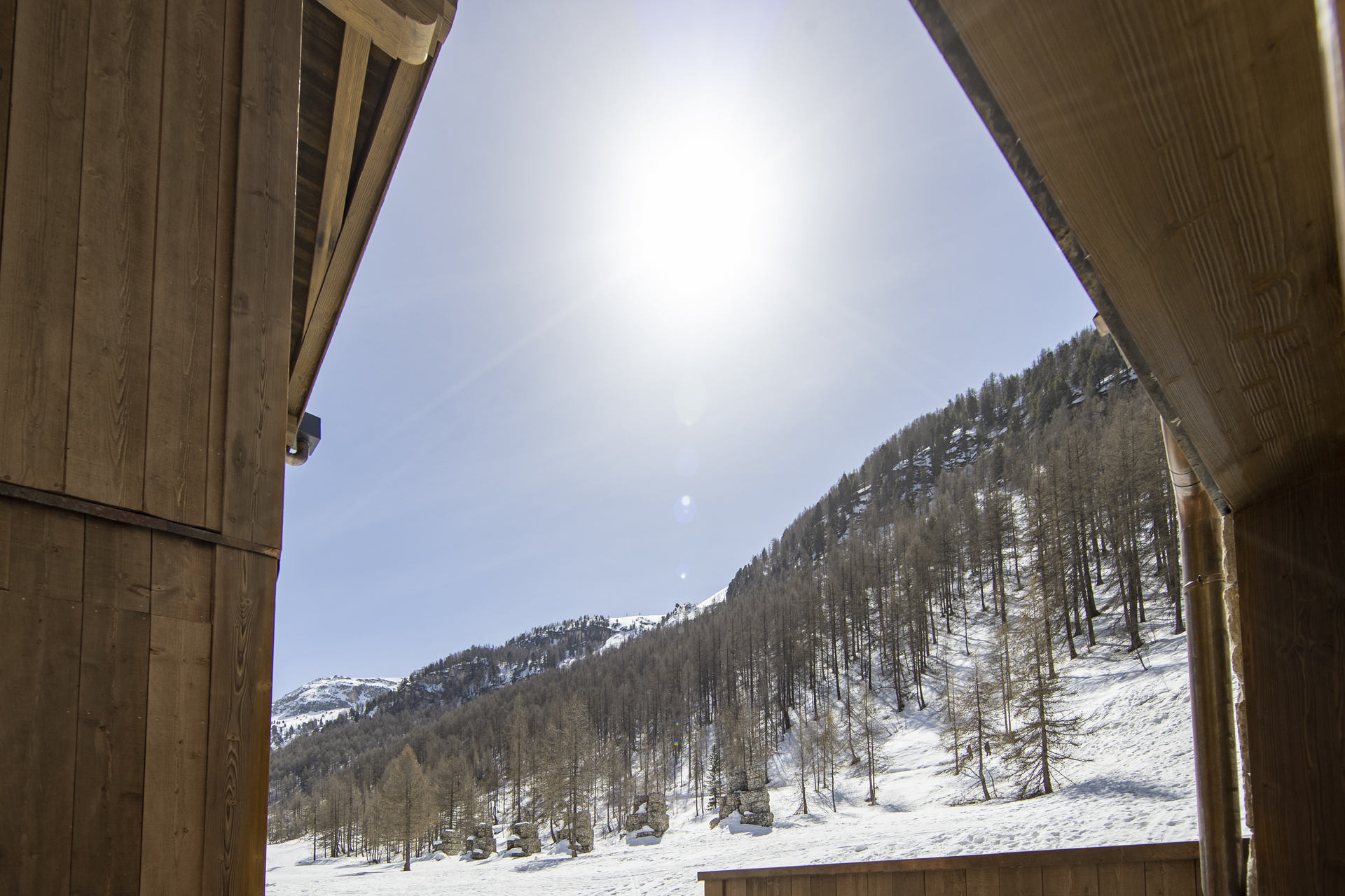 _lv_images__lot_0002340214_15_1457050