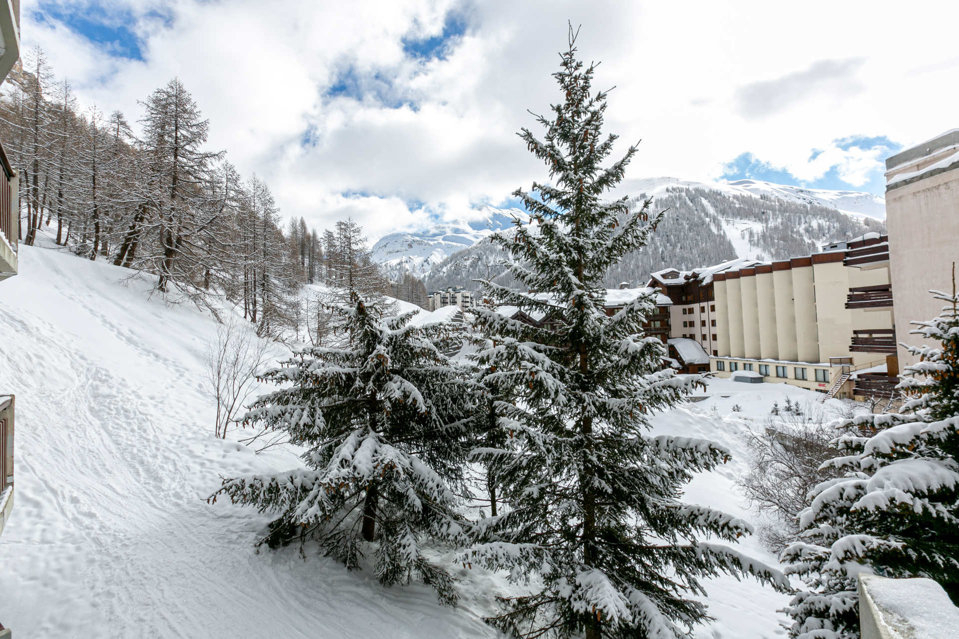 _lv_images__lot_0002340248_14_1455064