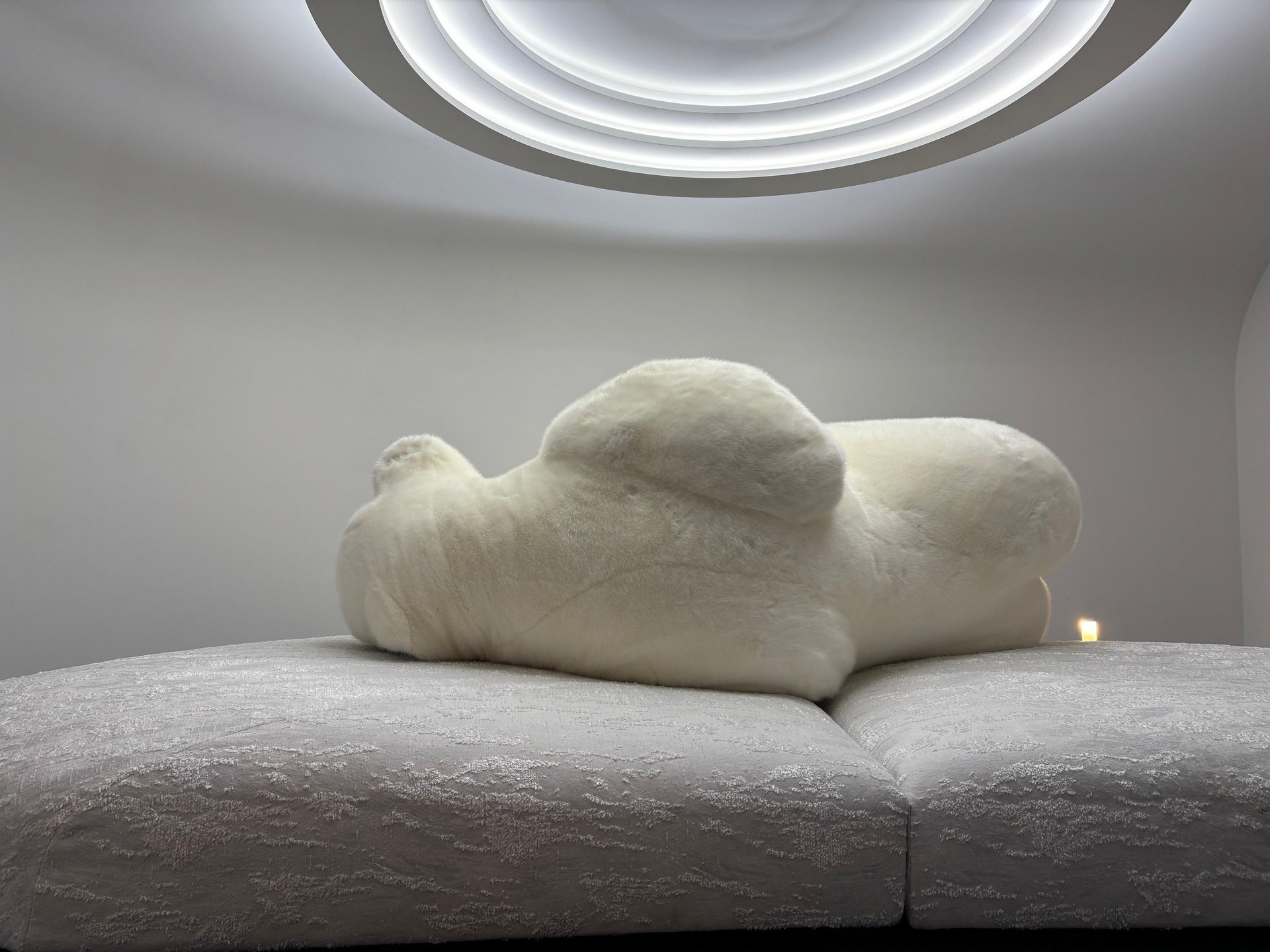 _lv_images__lot_0002340333_15_1454974