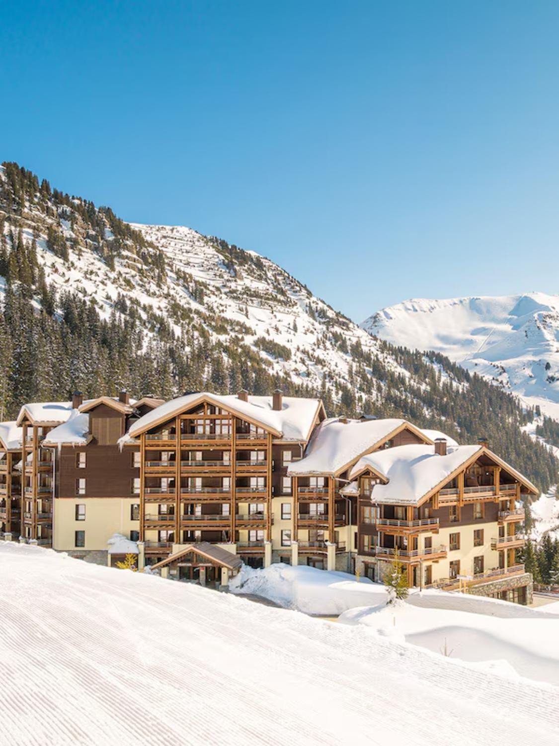 aaa-83608-34-1007779