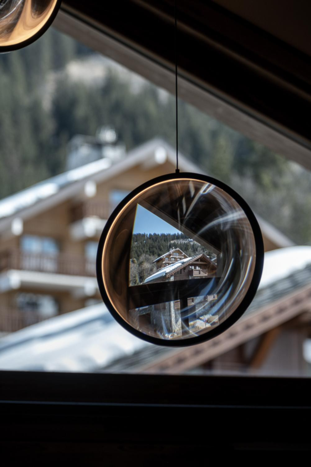alpine-dream-flower-of-the-alps-meribel-23-1461986
