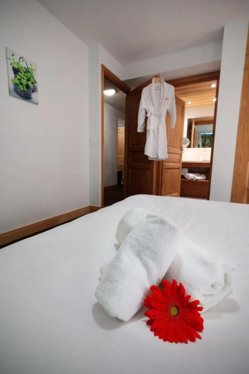 app5duplex-810p-cime-arc-3-1048384