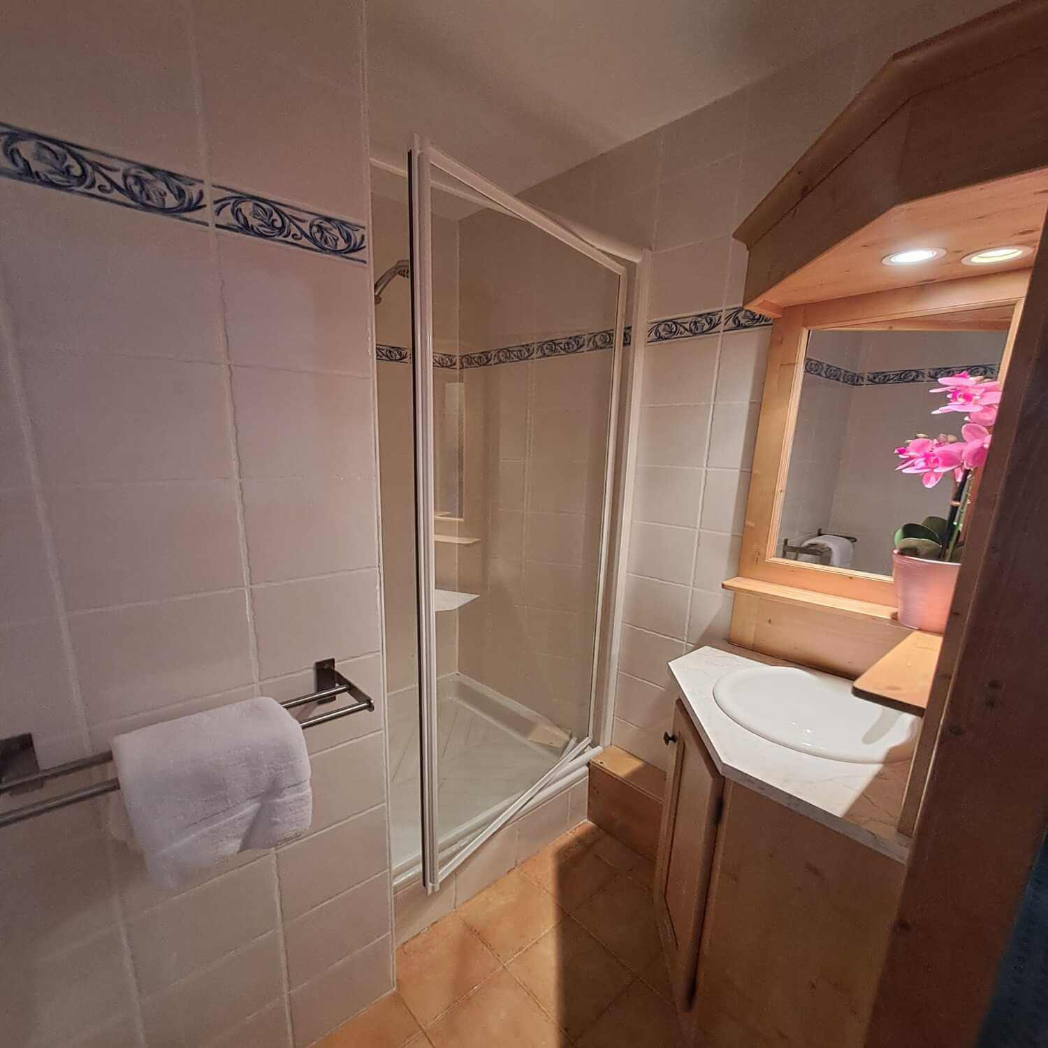 appartement-salle-de-bain-douche-2-1460595